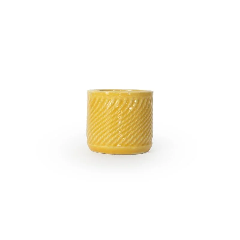 PLNT-SW-2-MARIGOLD.jpg