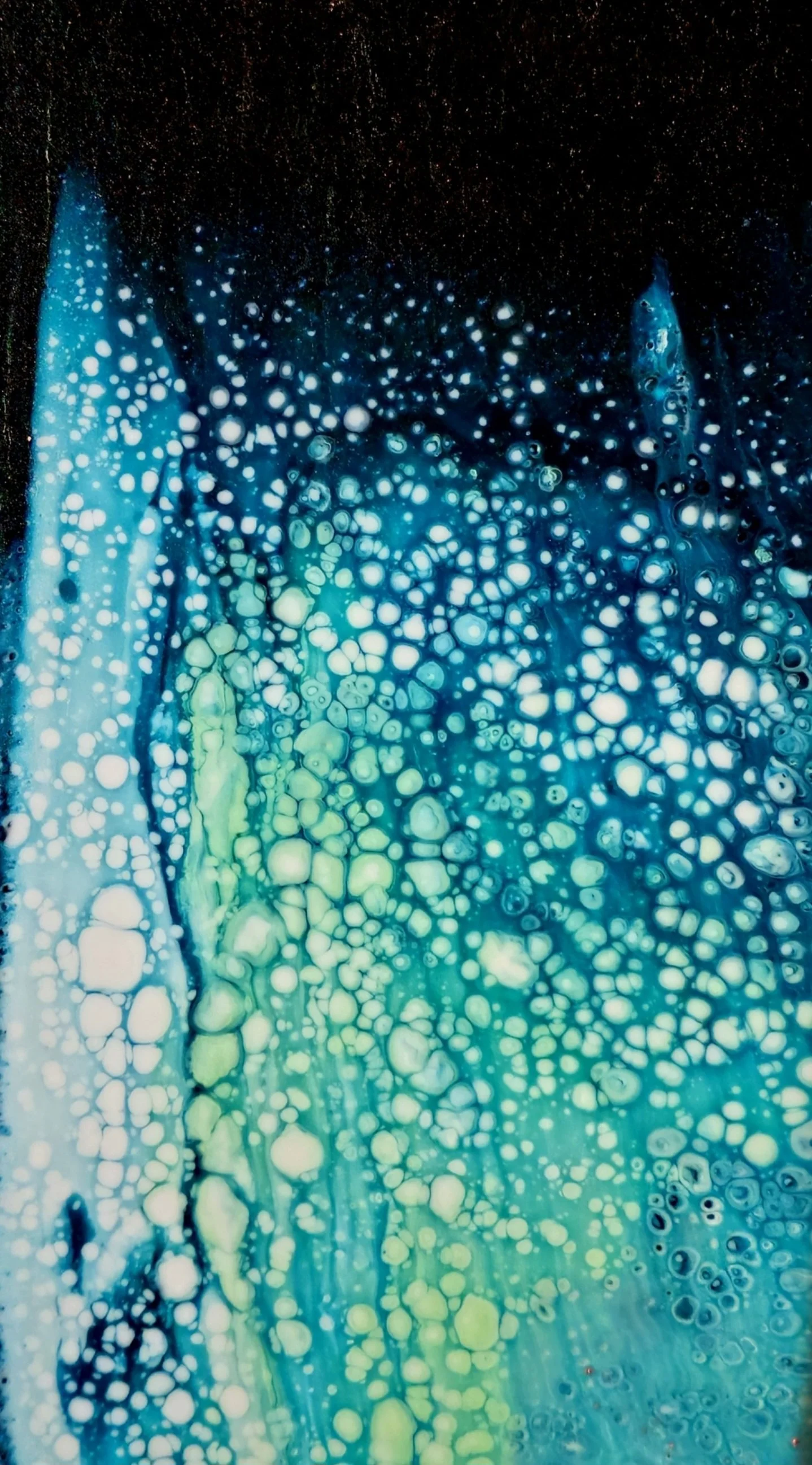 1000109311.jpg