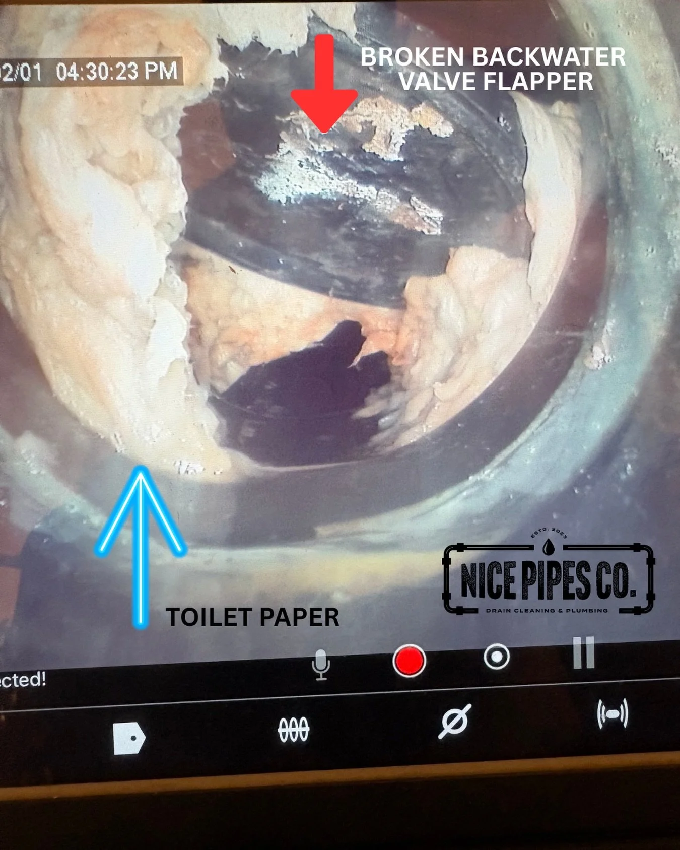 🚽 Another sewer issue solved by Nice Pipes Co. 🚿

A customer called with a persistent sewer blockage. Using our state-of-the-art camera, we quickly diagnosed the issue, a broken backwater valve flapper that was stuck, causing toilet paper to lodge 
