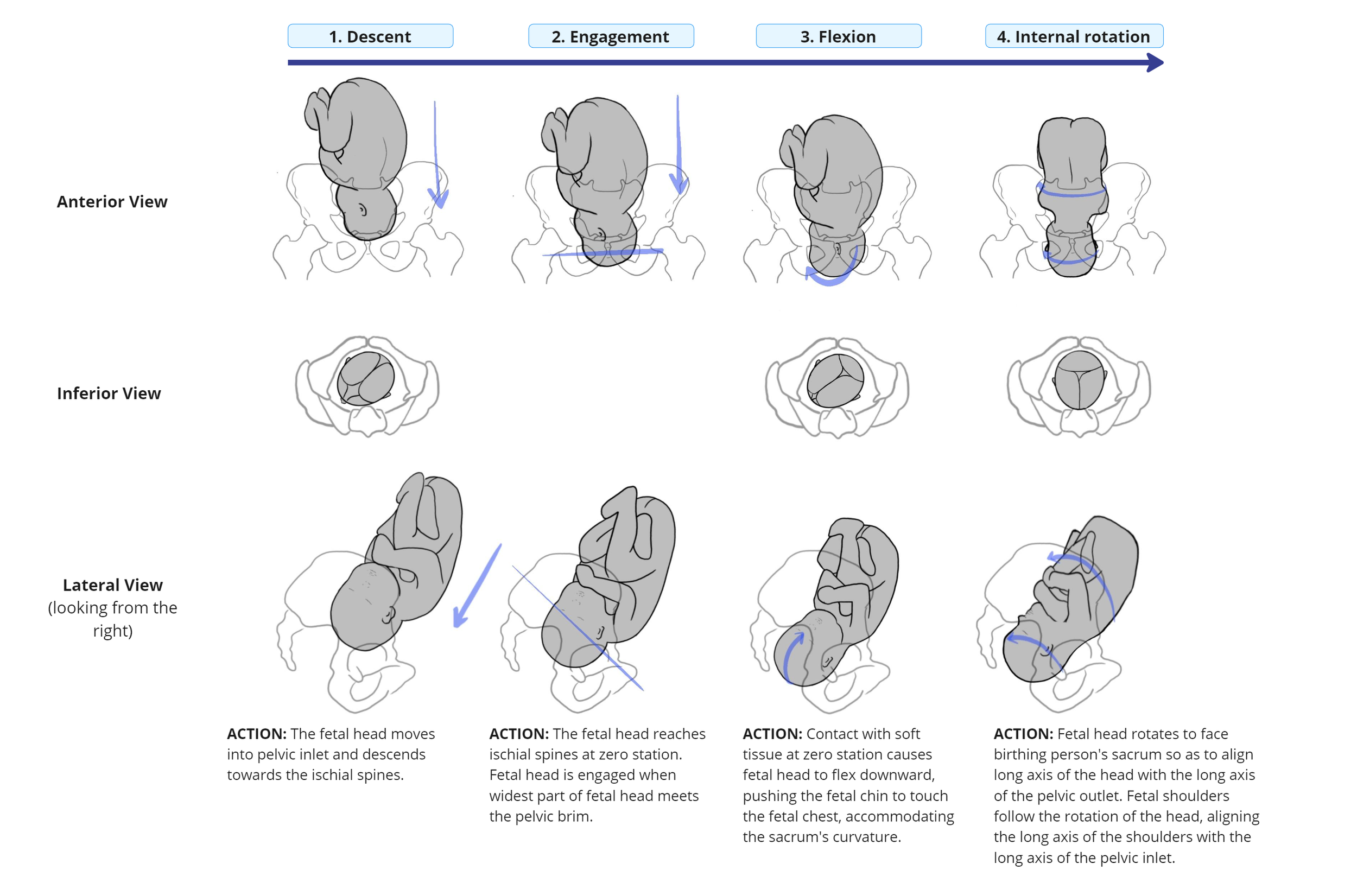 Edited storyboard panels 1-4 with actions_PNG version.png