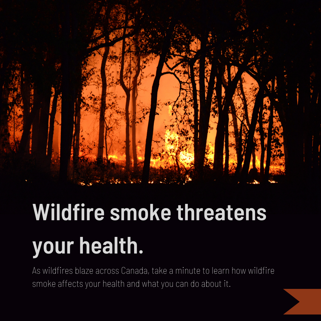 An informational carousel post designed for Instagram, created for the Biomedical Visualization and Communication program at the University of British Columbia using Canva.