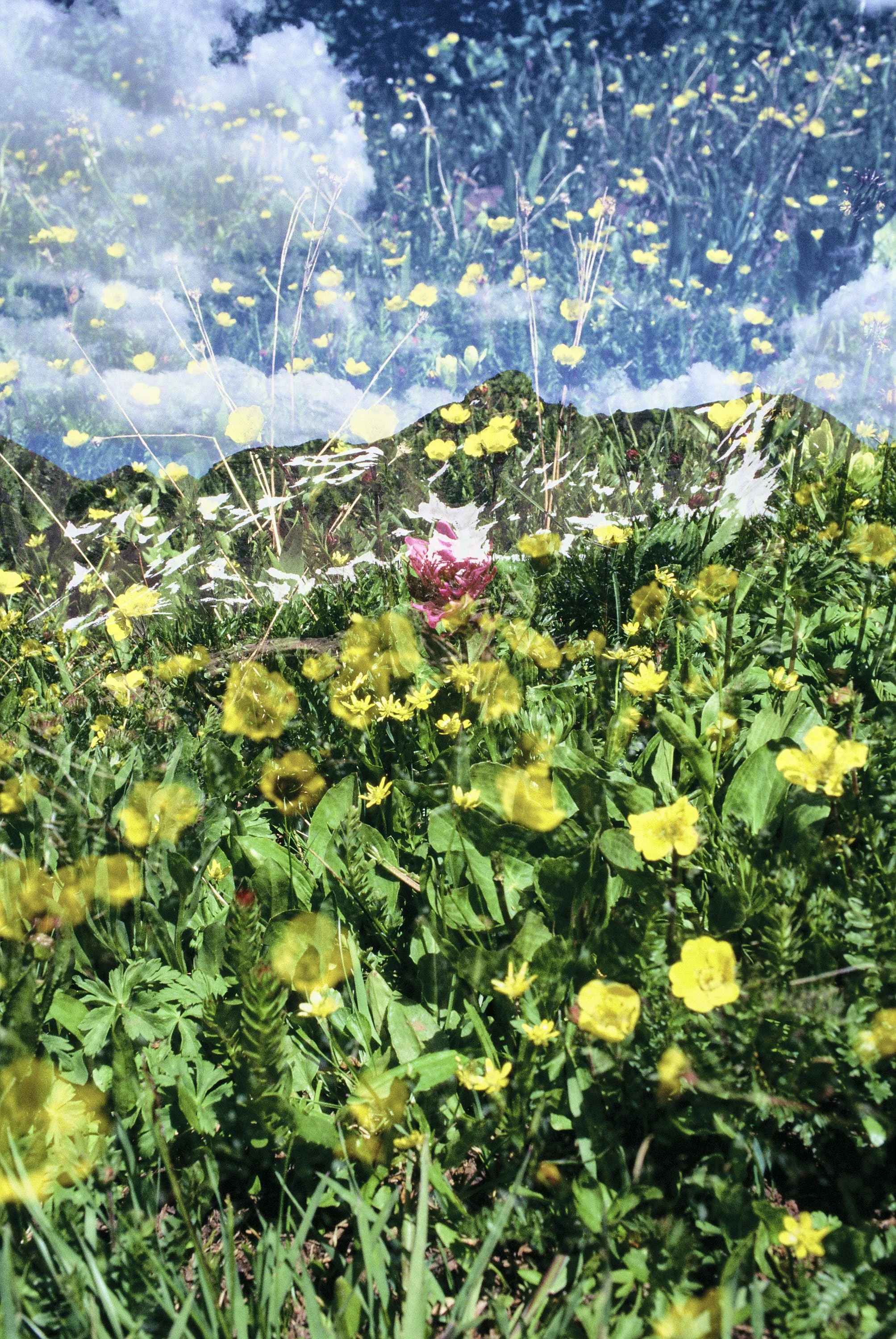 fine art travel photography, Four Pass Loop trail in Maroon Bells, double exposure travel photography
