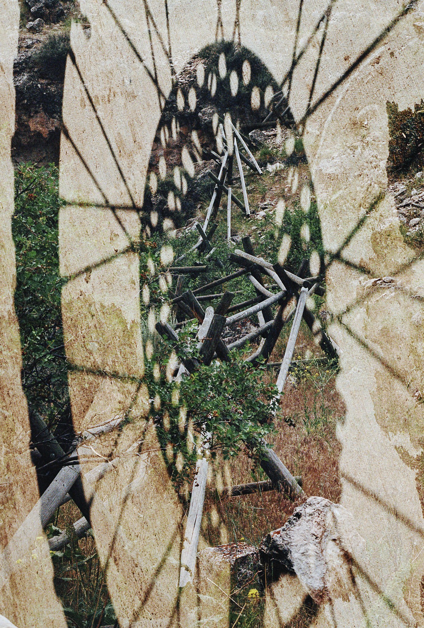 Golis_061625_5575_007 1.jpg