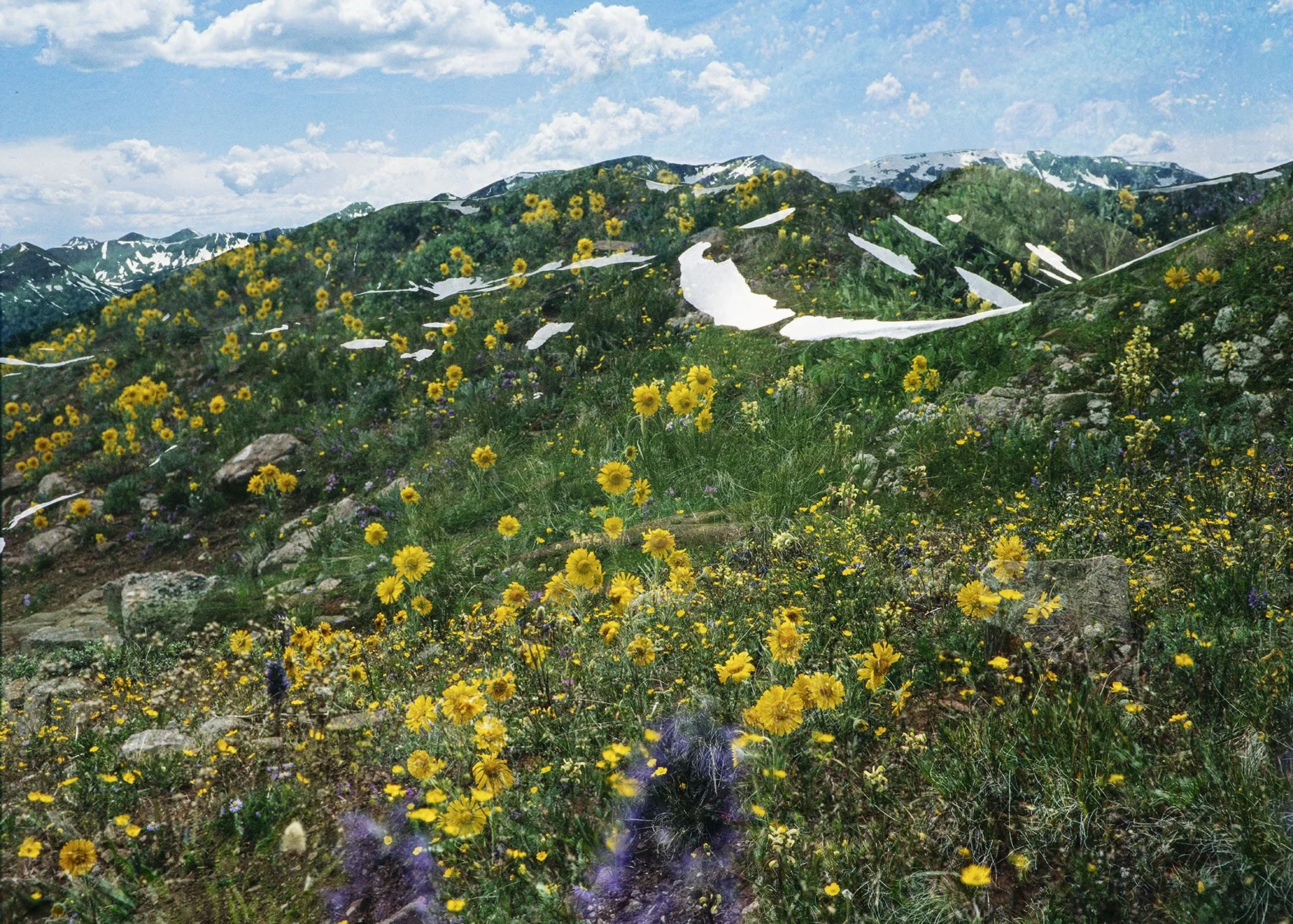 Maroon Bells Four Pass Loop II, 2025
