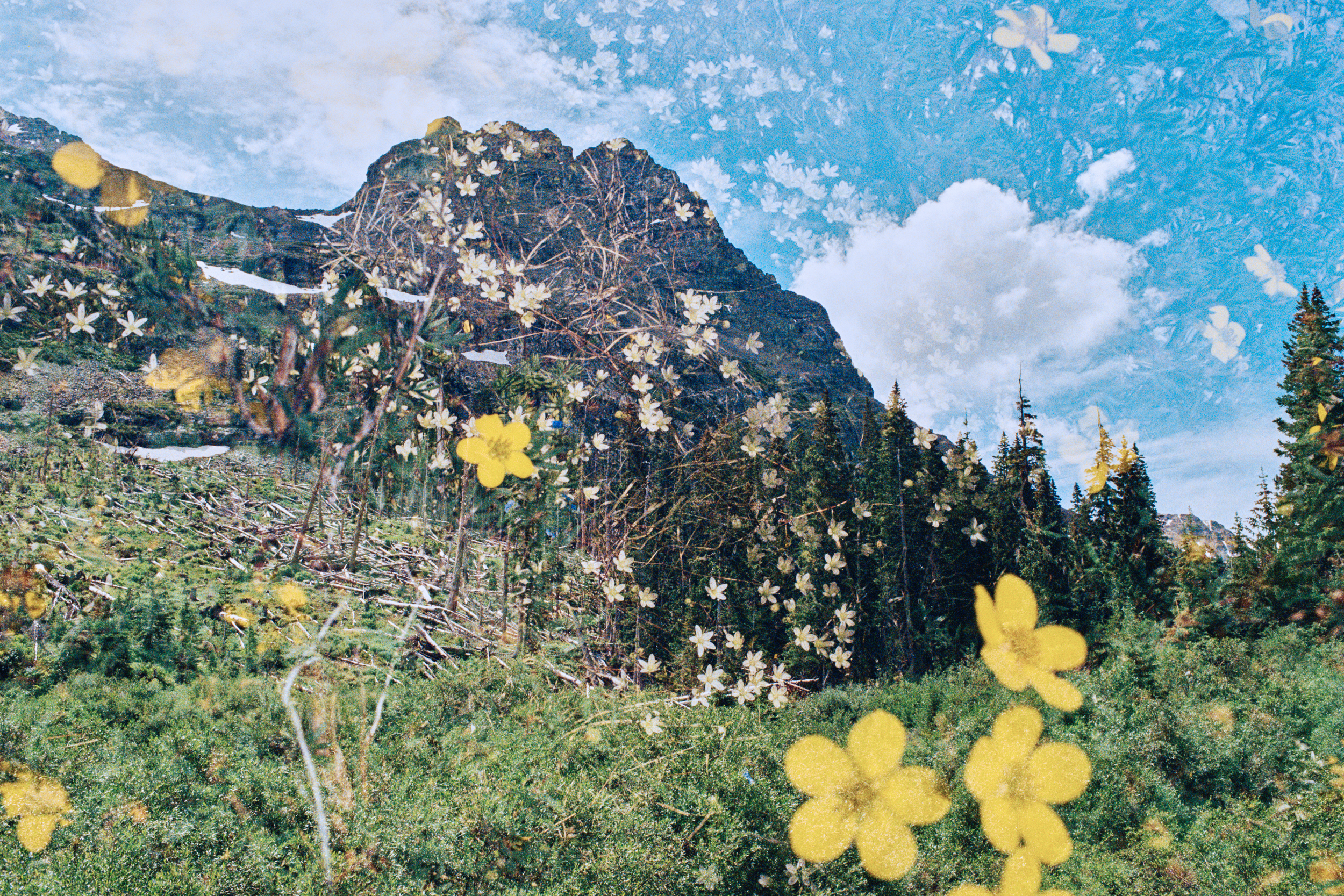 Screenshot 2026-03-13 at 1.56.32 PM.png