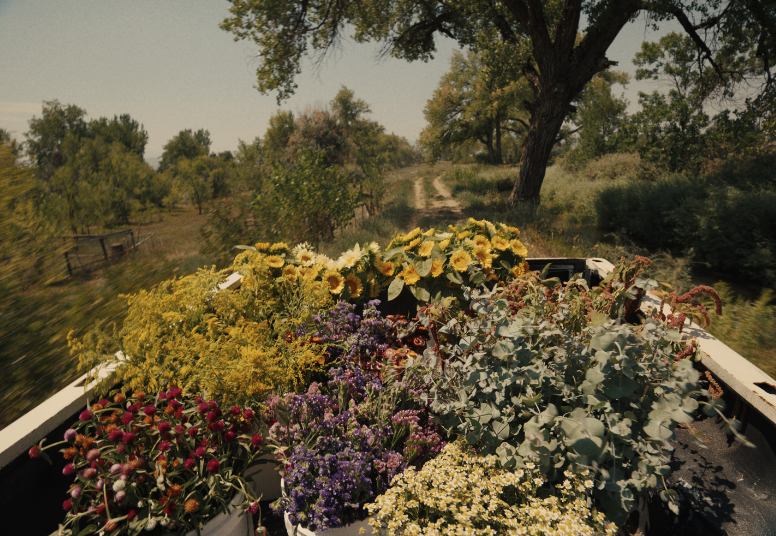 FLOWER_FARM_SS_00023.png