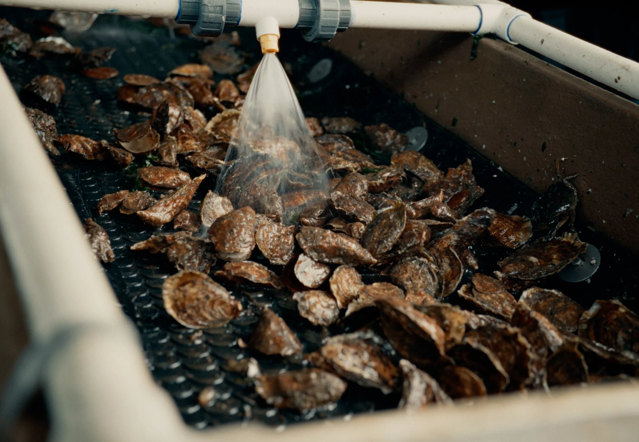 1 - EP 2 Moment 2.00_14_22_23.Still015.jpg