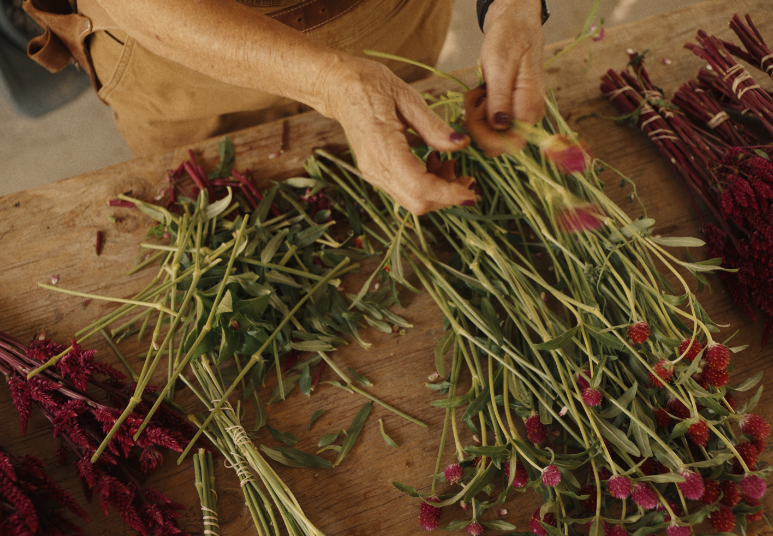 FLOWER_FARM_SS_00010.png