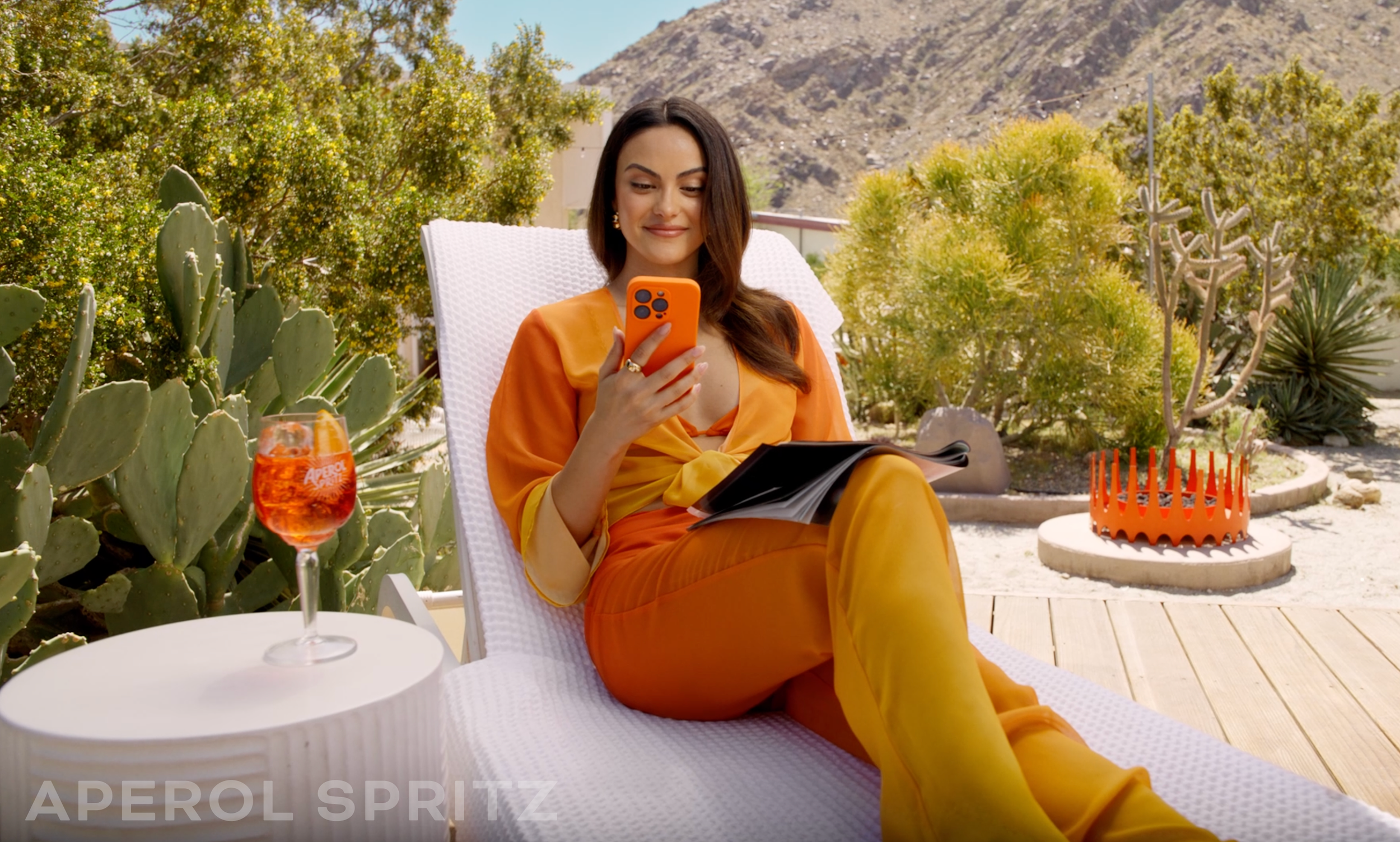 APEROL_FRAME_SS_00002_LABELED.png