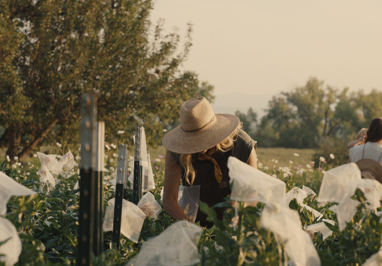 FLOWER_FARM_SS_00012.png