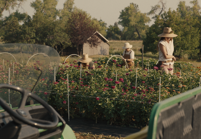 FLOWER_FARM_SS_00005.png