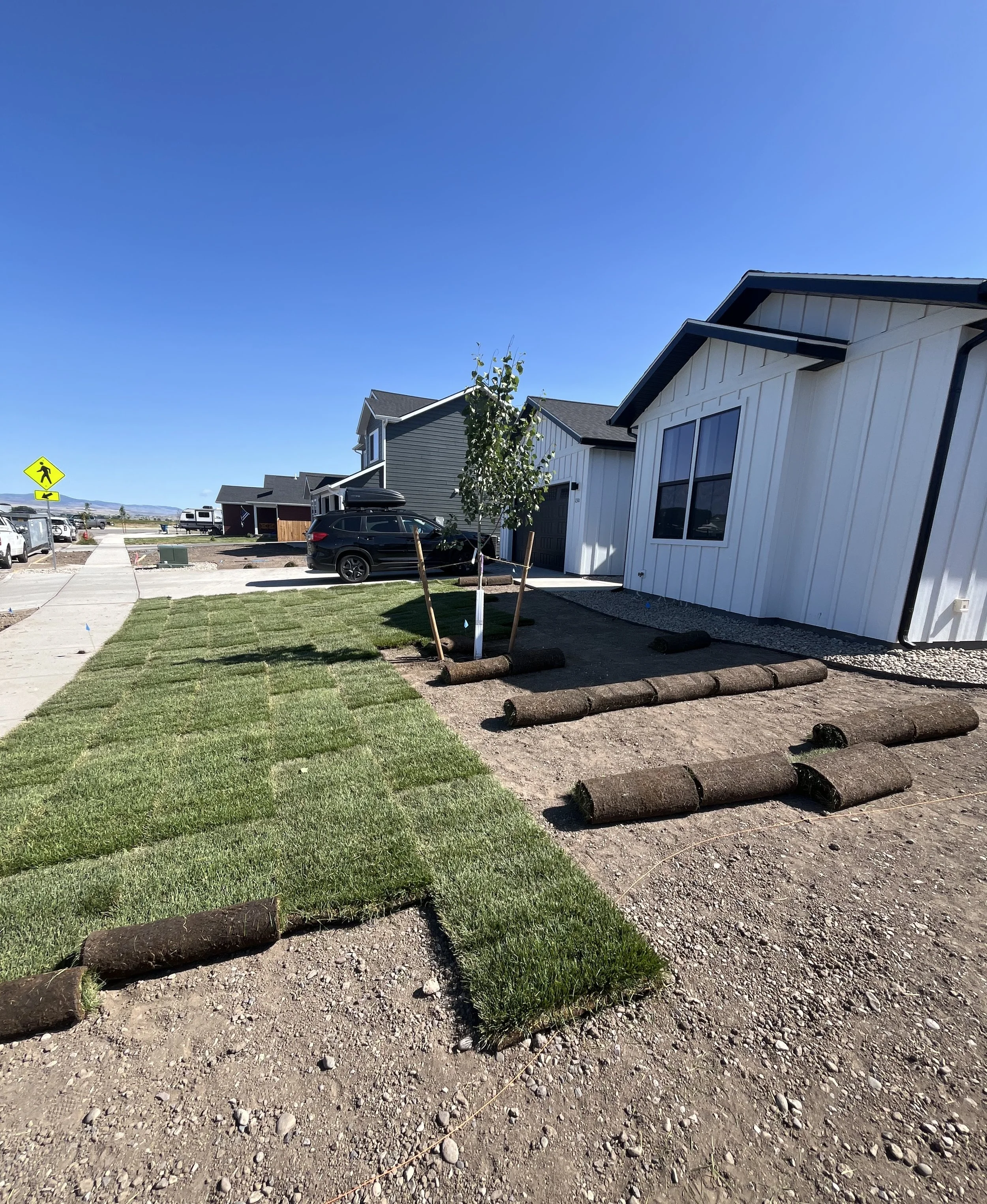 RenderedImage (002).JPEG