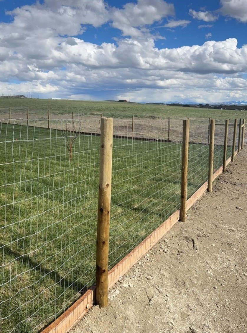 Screenshot 2024-06-29 071106.jpg