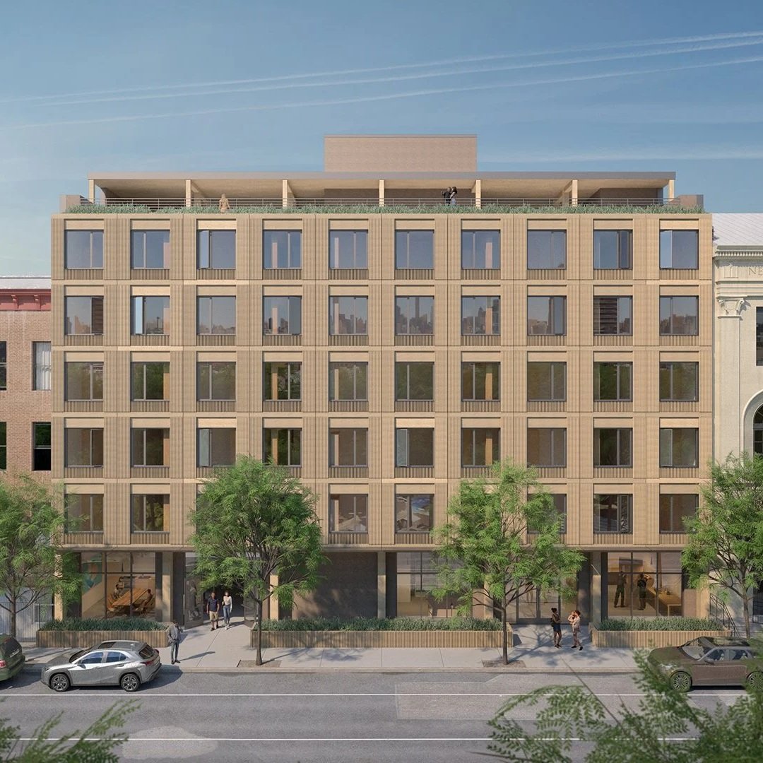 HARLEM WOOD HOUSE Mass Timber, Living 