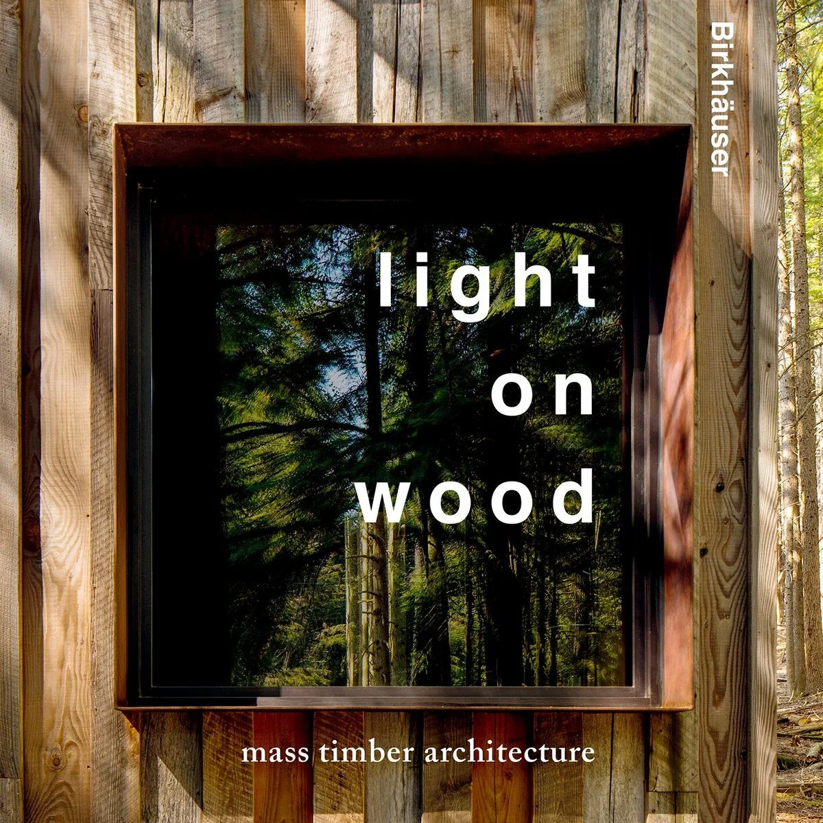 LIGHT ON WOOD