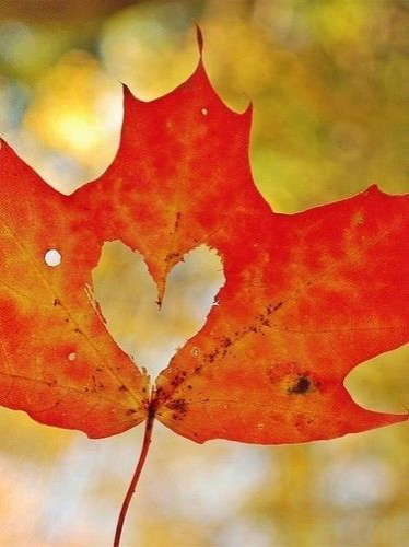Women’s Fall Bible Studies Begin