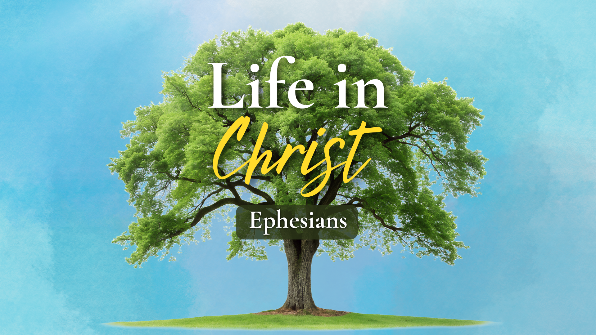 Predestination Praise | Ephesians 1:1-6