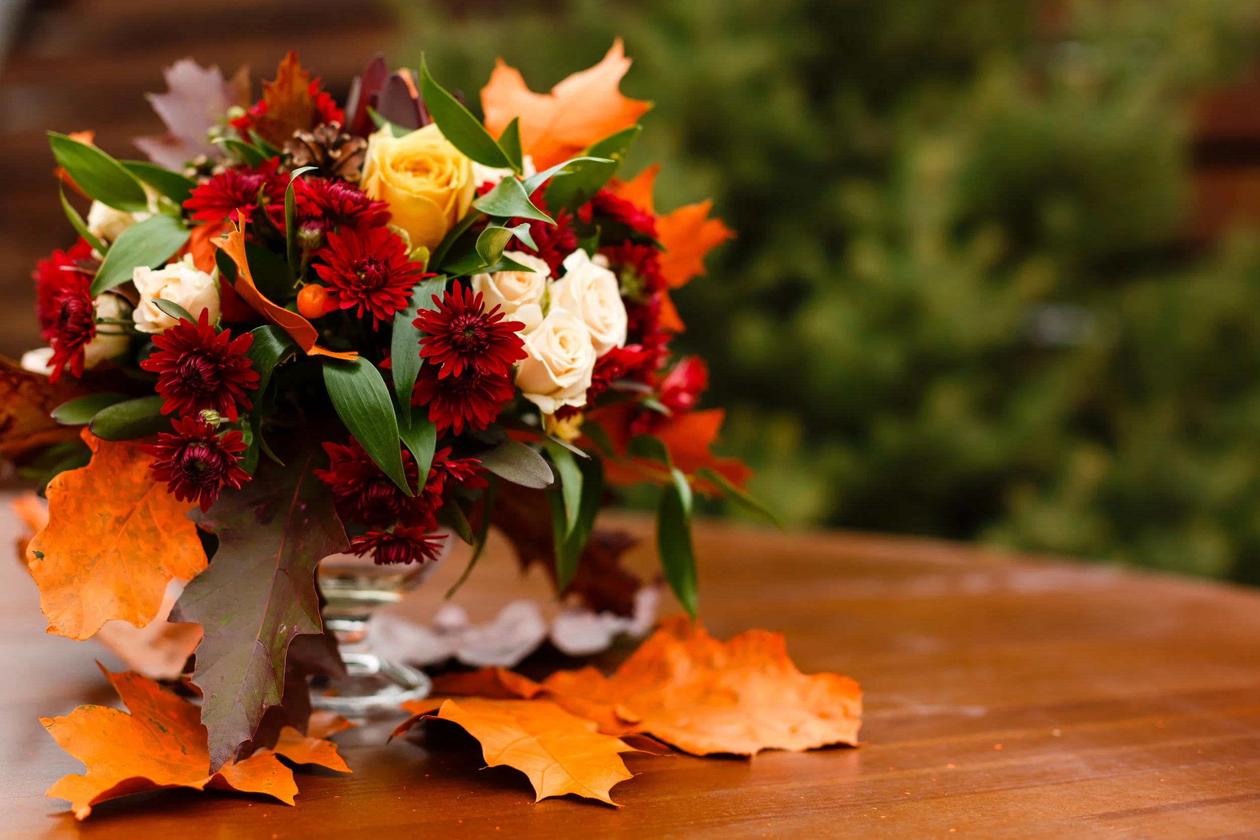 Women's Fall Bible Studies