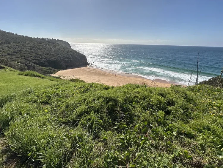 Coastal beach and national park landscape near Broken Bay