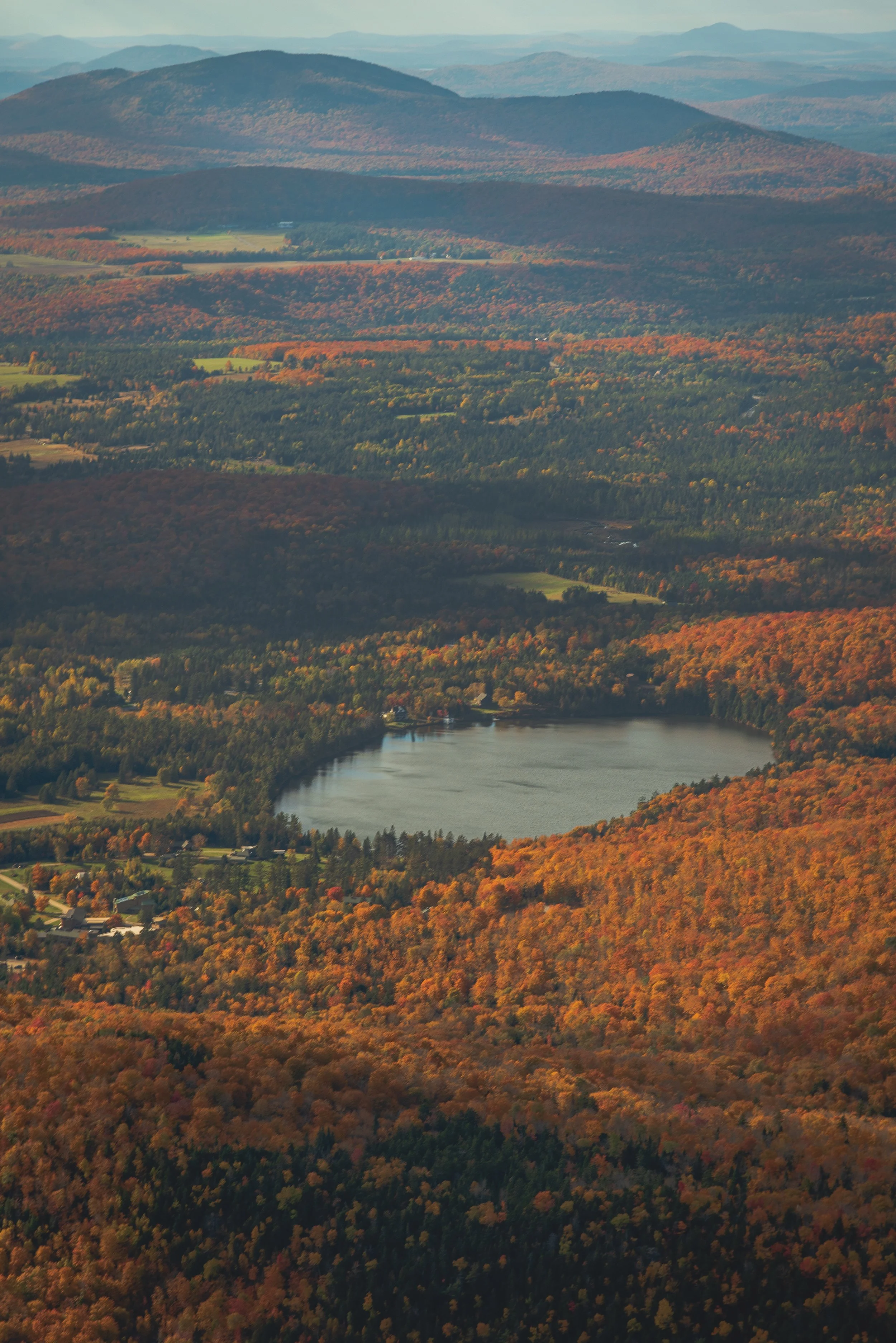 DSC_3987-2.jpg