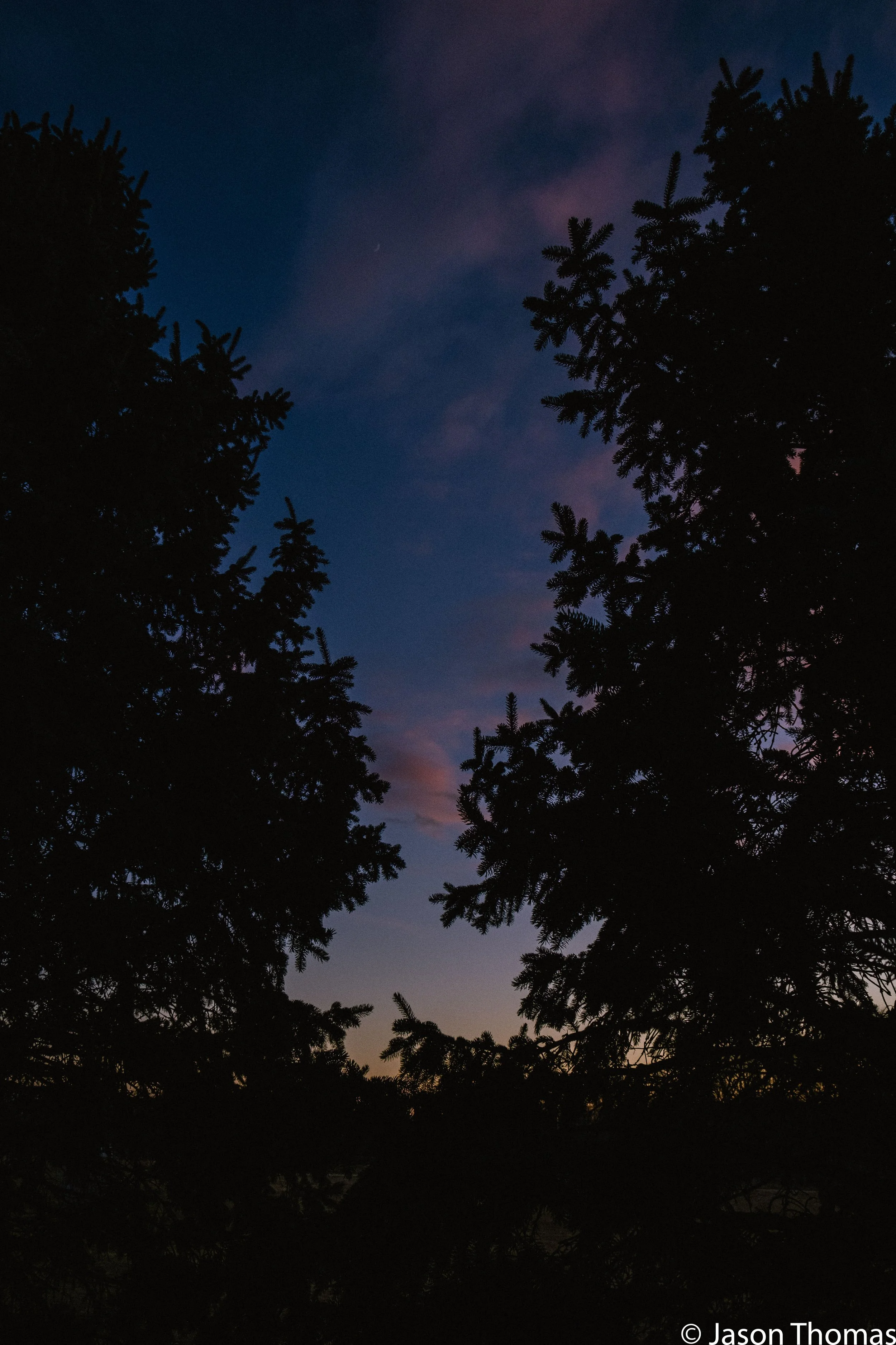 DSCF0273.jpg