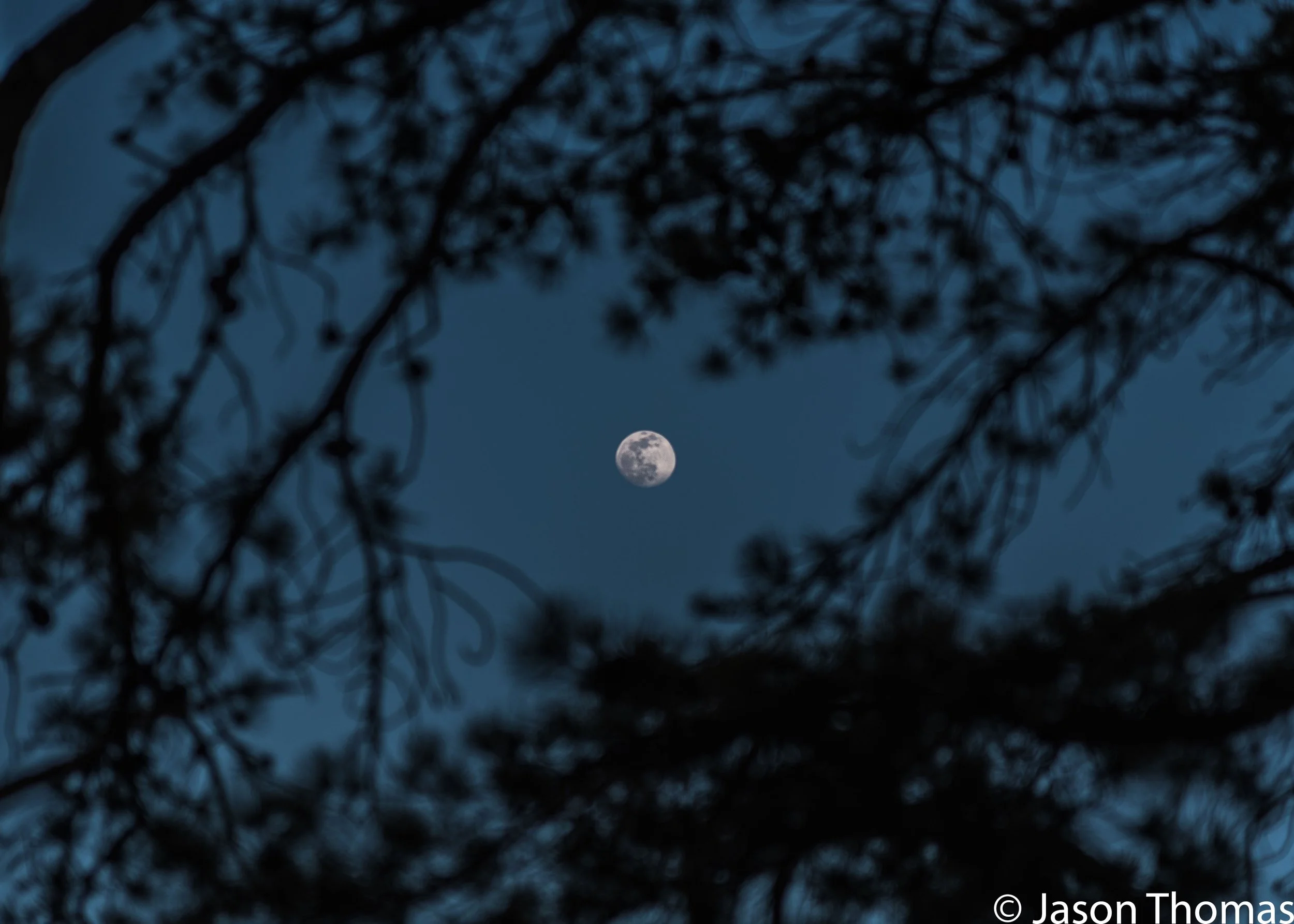 DSC_3493.jpg