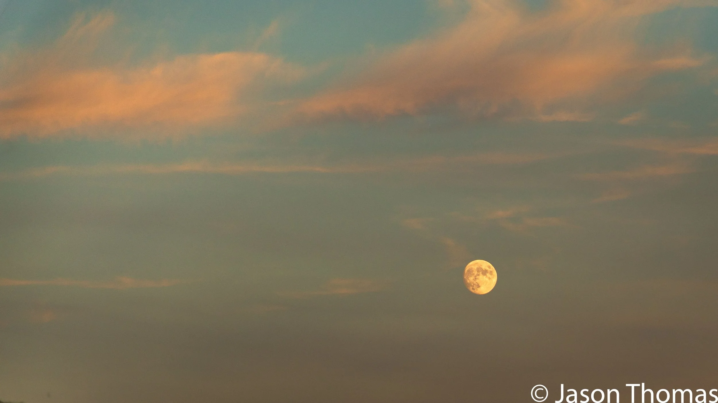 DSC_6320-3.jpg