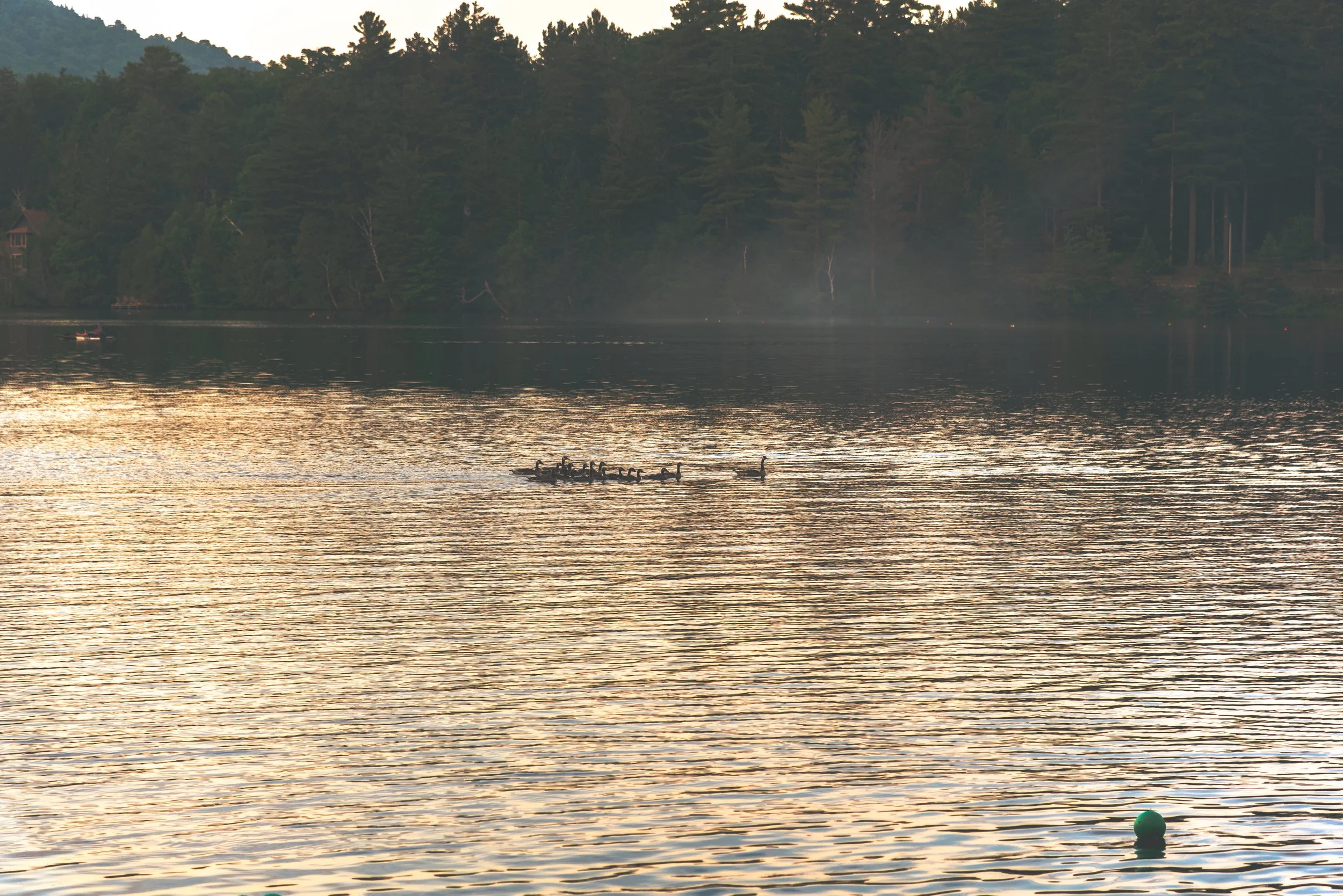 DSC_9149.jpg