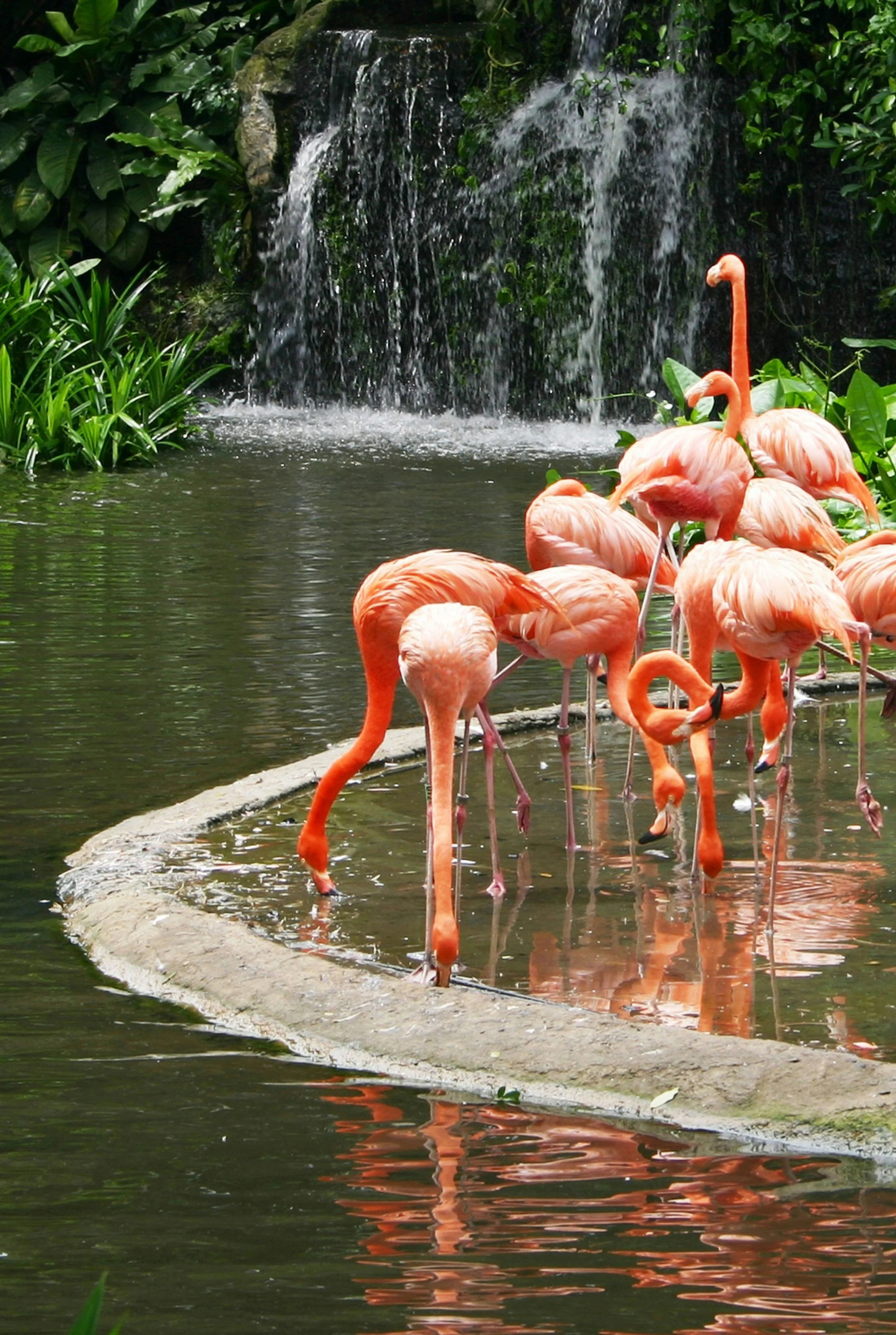 A Love Letter to Flamingo Estate: Where Pleasure Becomes Philosophy