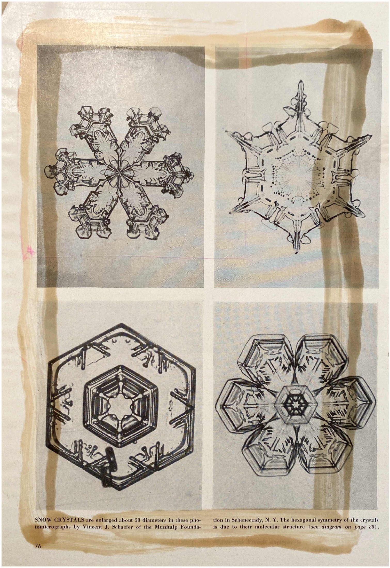 Scrapbook 2 - Jun 24 2022 - 6-06 PM (1)_54-54.jpg