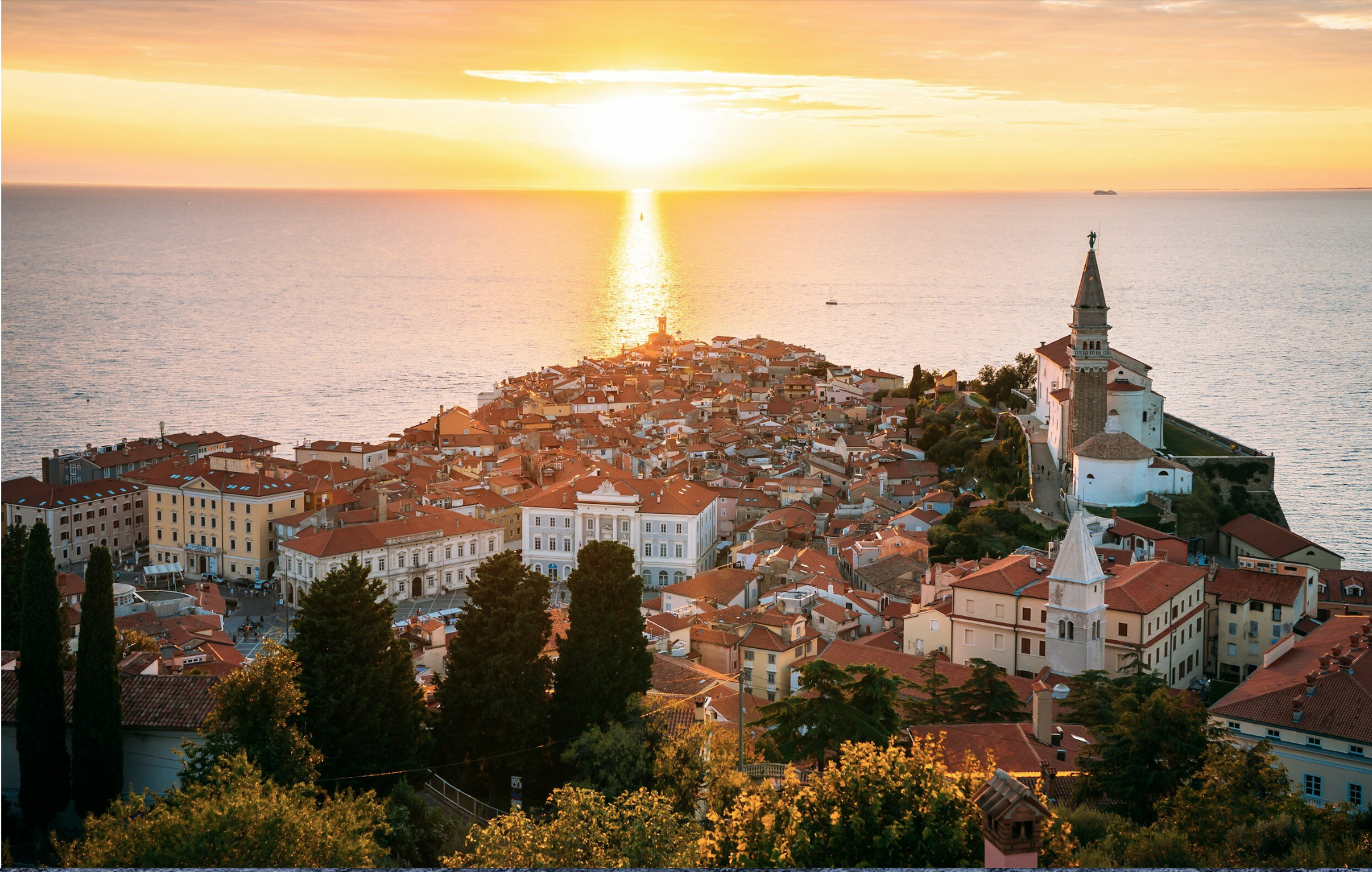 Truffle Hunting &amp; the Istrian Peninsula 