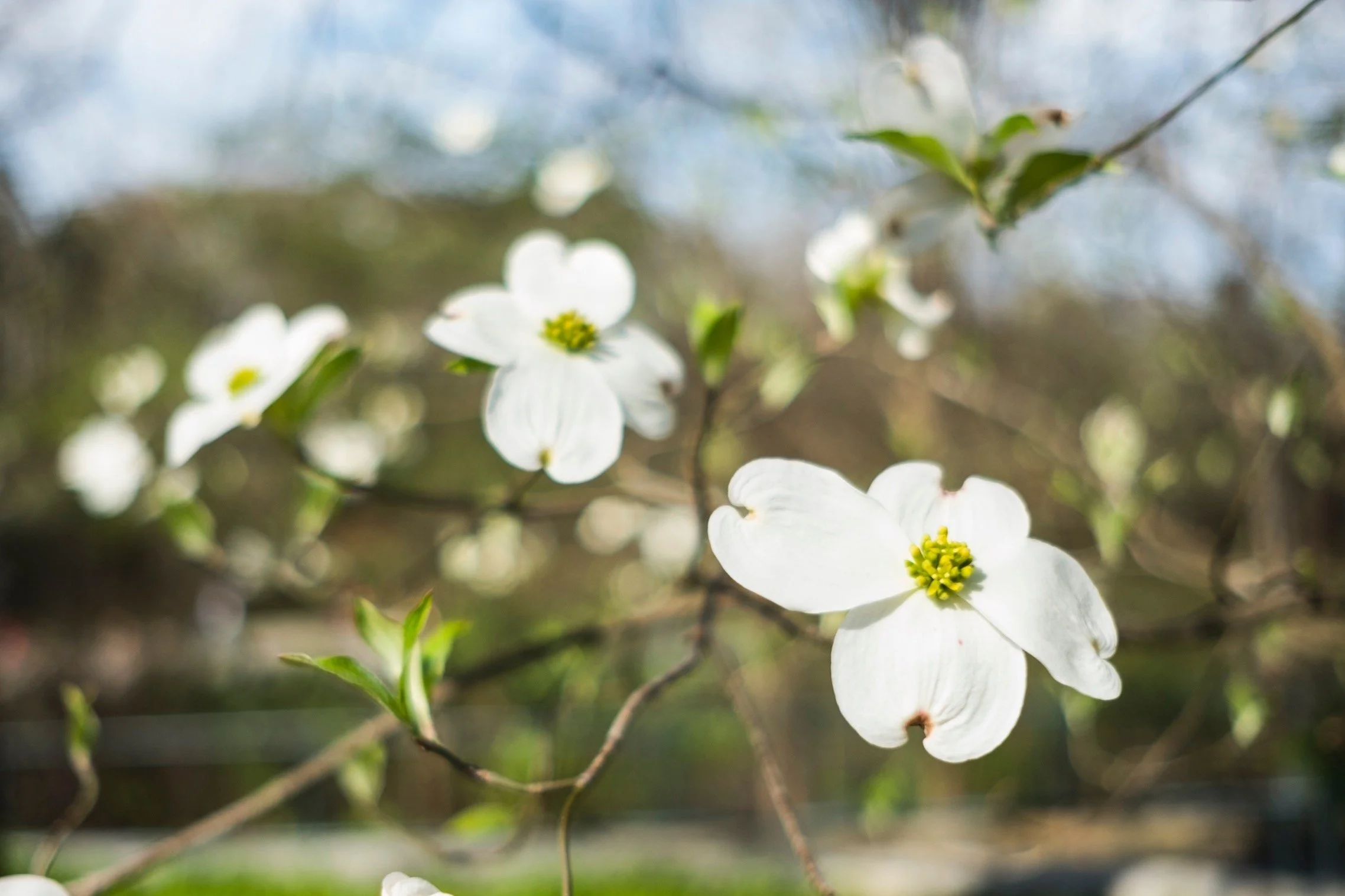 Role: Photographer |
Client: Kirsten's Inner Child