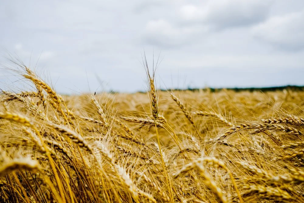 Role: Photographer |
Client: Kirsten's Inner Child