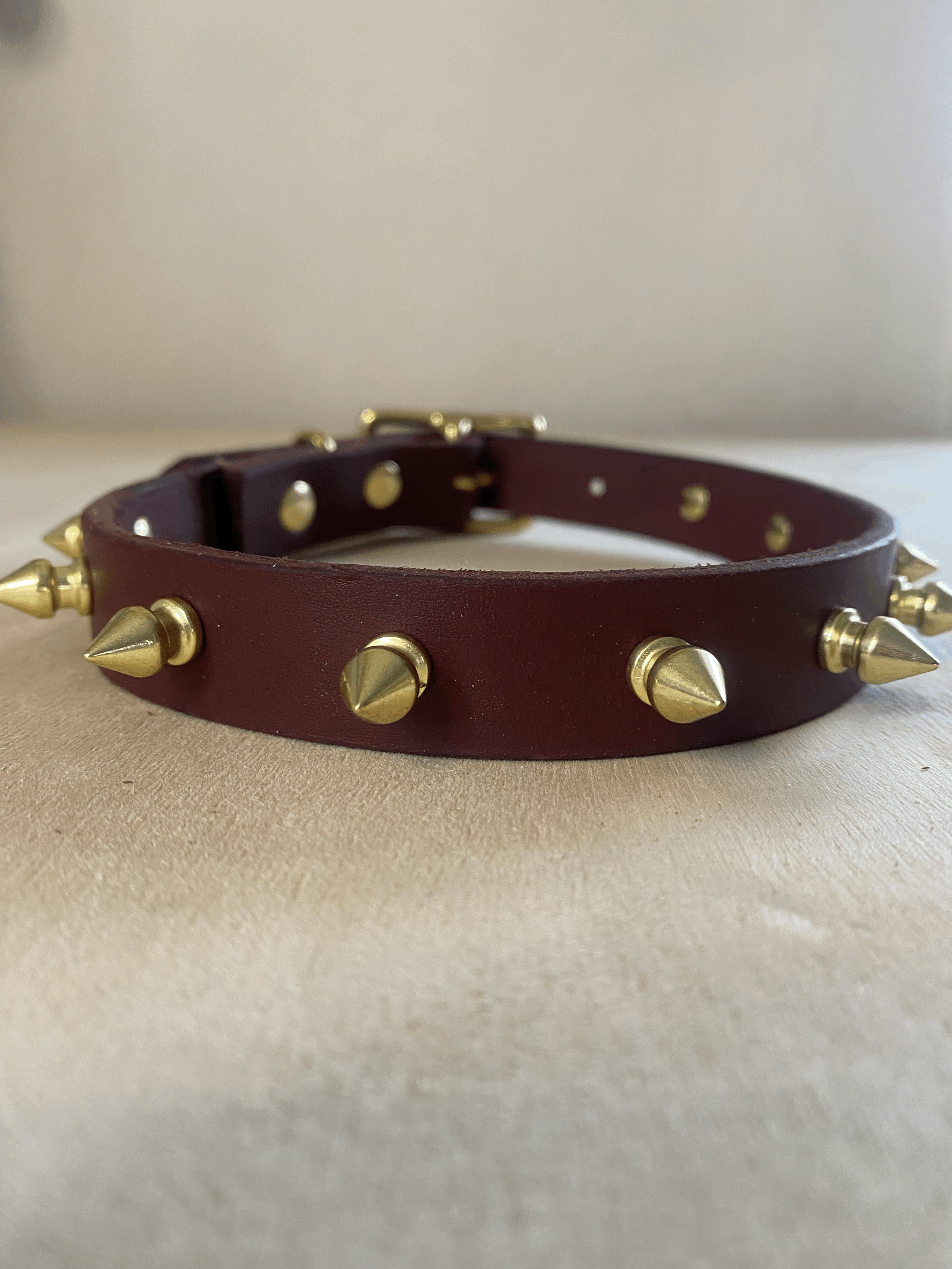 3/4" Brass Spiked Burgundy Collar