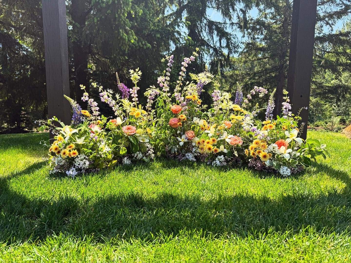 Still very much in love with this little wildflower meadow for a wedding last weekend. . .
#weddingflowers #weddingflorist #floorarch #weddingarch #halfmoonarch #ceremonyarch #ceremonyarchflowers #seattlewedding #pnwwedding #seattleflorist #pnwfloris