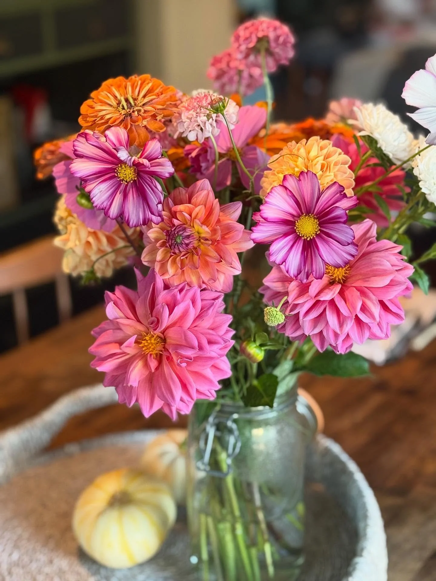 Dahlia open houses and picking up plugs and bulbs from local farmers later this month. And of course crossing my fingers and hoping I get some good dahlia seeds for next year before the first frost/ eternal rain. 
You would think with wedding season 