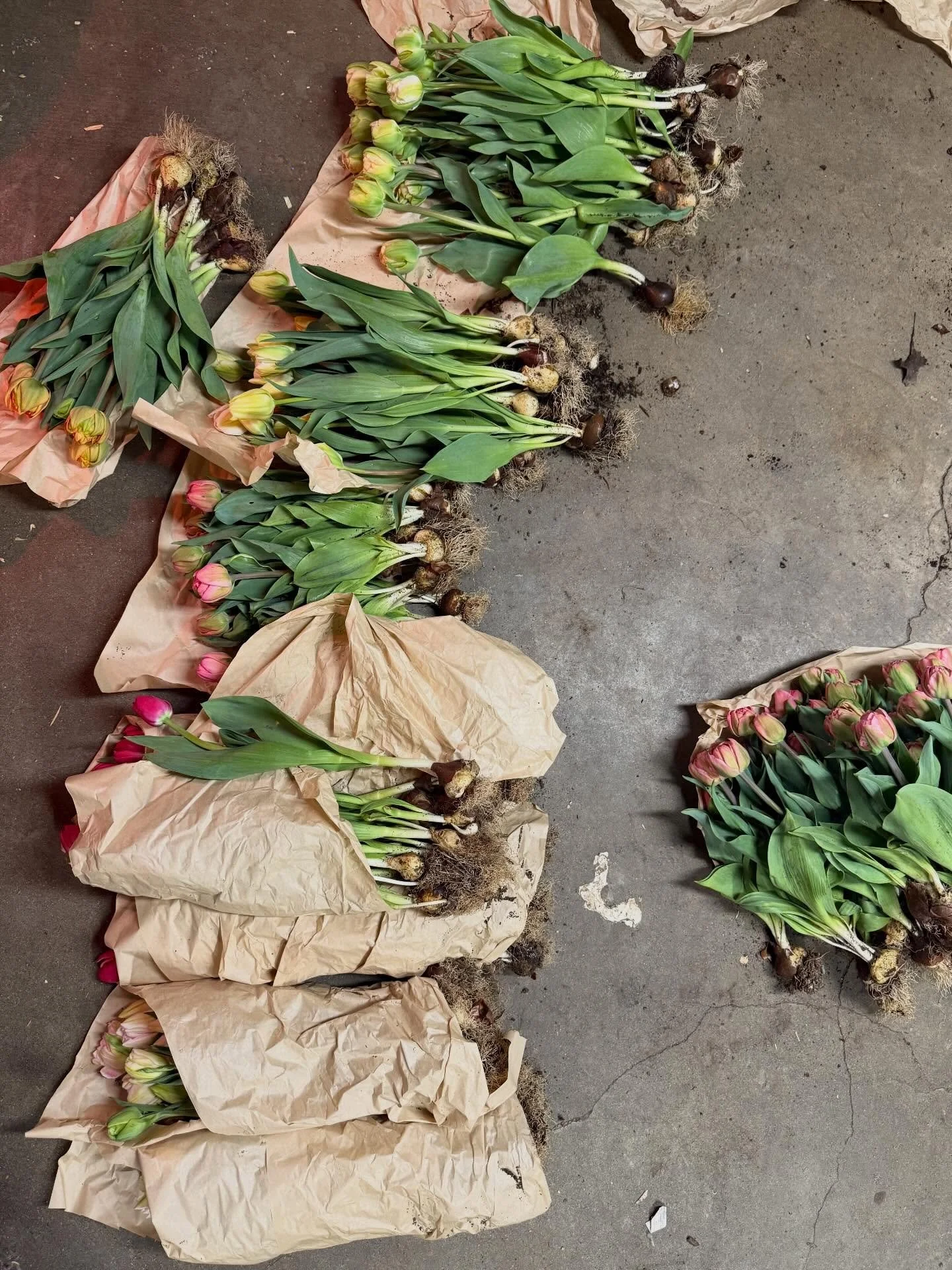 Forever grateful for the little bit of beauty and hope I can bring to this world. 

It&rsquo;s been an interesting (to say the least) few weeks of balancing motherhood, grief and anger, and the joy of planting and planning for all the beautiful momen