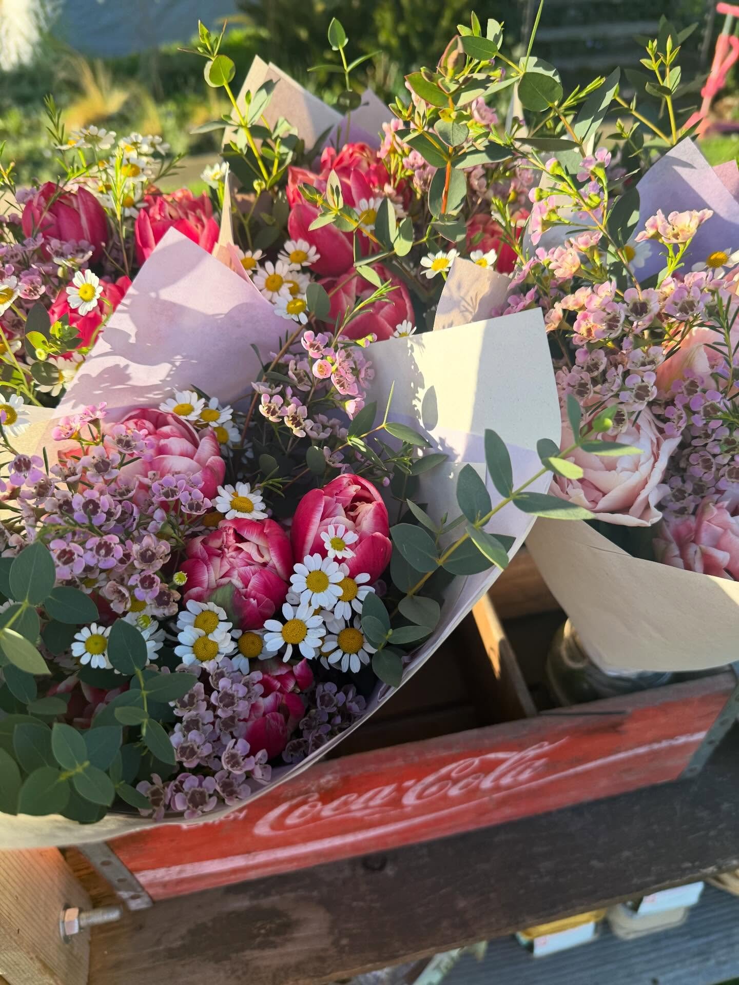 Some larger bouquets on the stand this weekend featuring our earliest double tulips! 
Get ready for pretty much just tulips for the next month or so!

Varieties Columbus and Dreamer

#flowerfarm #flowerfarmer #farmstand #eastertulips #tulips