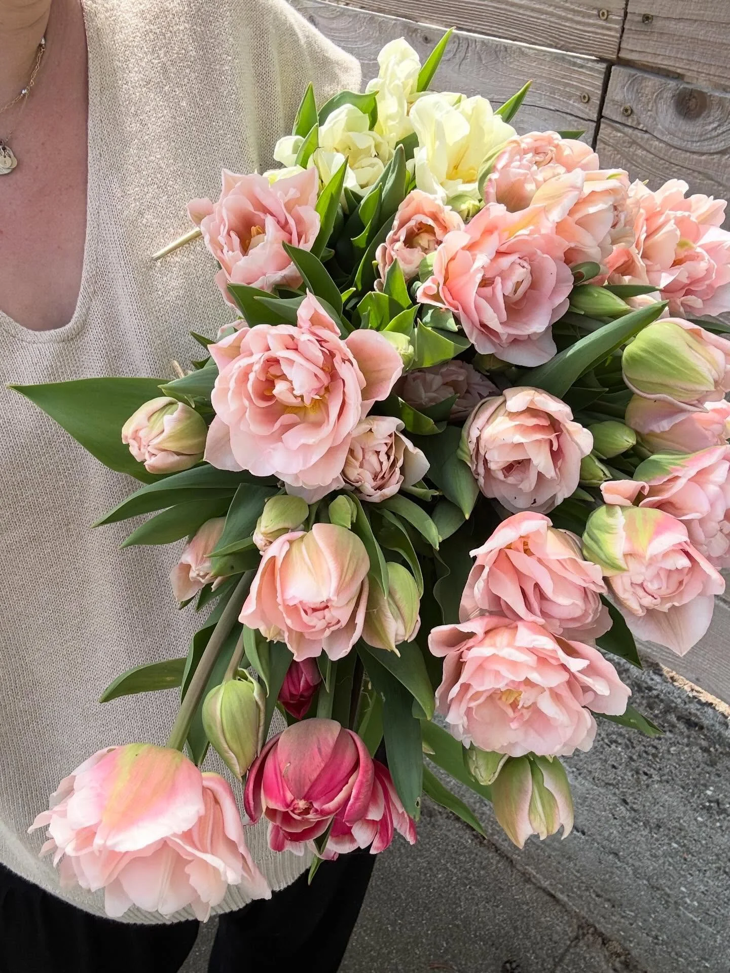 Just thought it was important that you saw what 35 tulips popping open in the sun looks like. . .
#tulips #flowerfarm #florist #pnwtulips #backyardflowerfarm