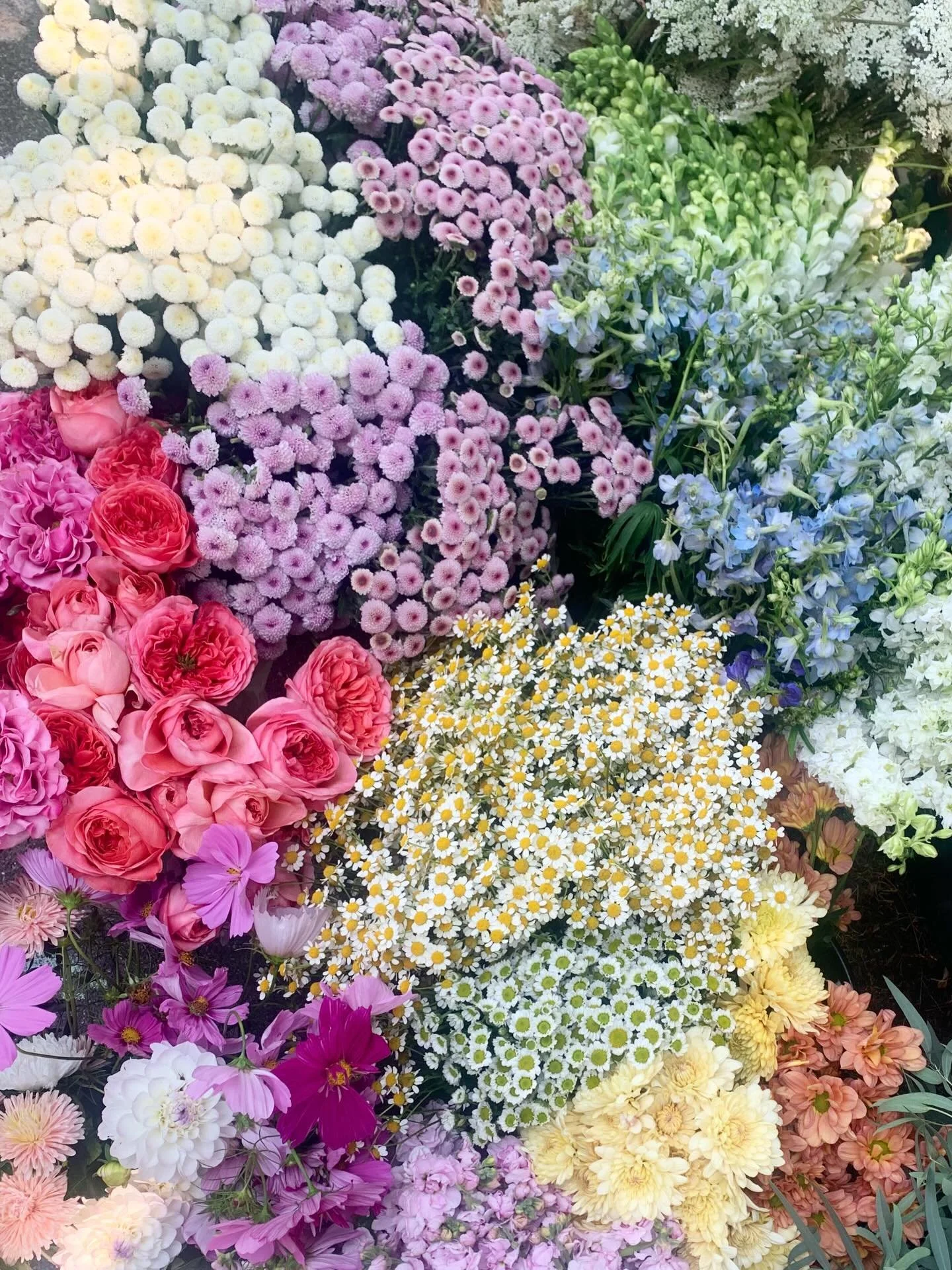 I am offering Mother&rsquo;s Day bouquets this year!
Available for pick up on May 9th. 
Send me a DM and we will make sure that all the mommas in your life get a little extra beauty on their day!

#mothersday #mothersdaybouquet #flowerfarm #tinyflowe