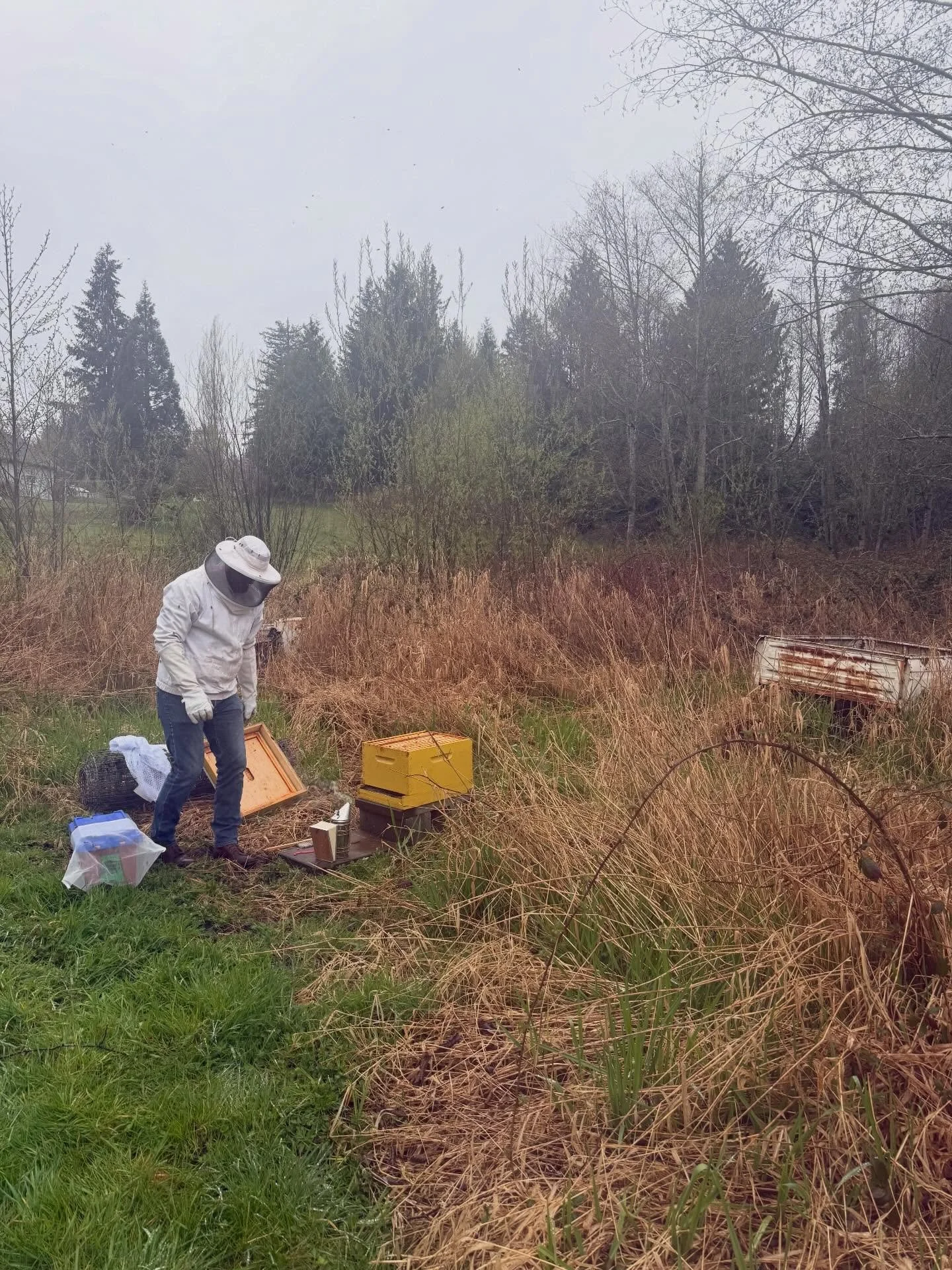 The bees are back!

The last few years we have tried to have bees on our city lot but because we are within city limits we can&rsquo;t control the city spraying all the blackberries in the alleys(aka one of our bees favorite supplies) so this year we