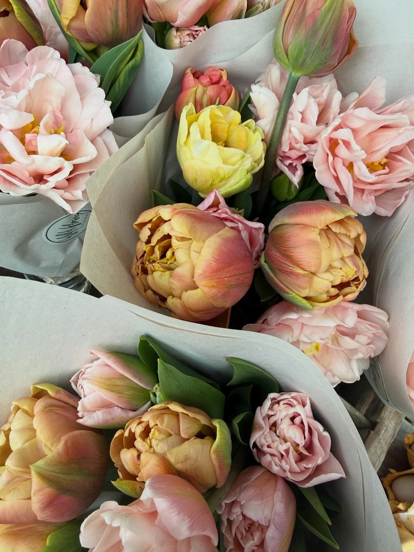 Farm stand is out!

Come and get some beauties!
#fatmstand #tulips #tulipseason #tinyflowerfarm #flowerfarm