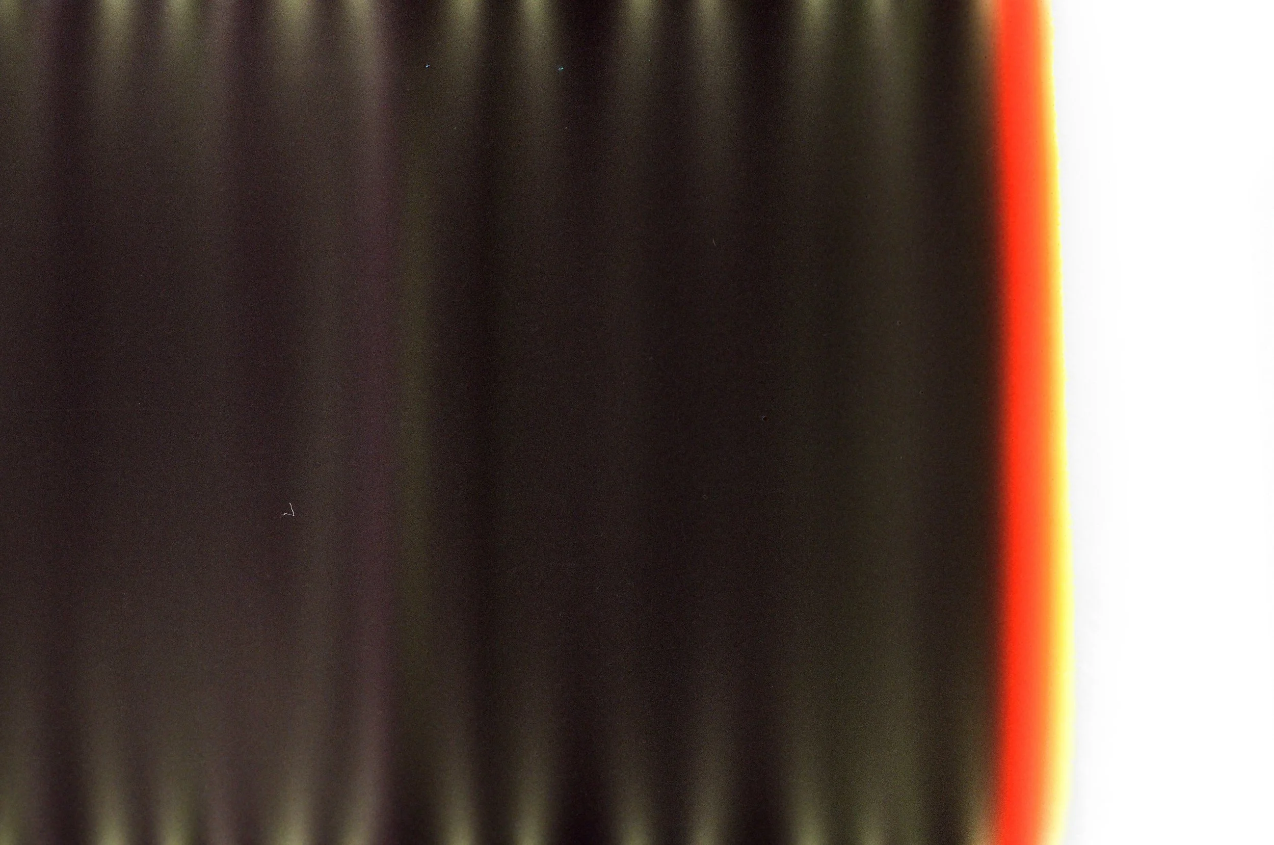 Light Leak Perfection
Cinestill 400D