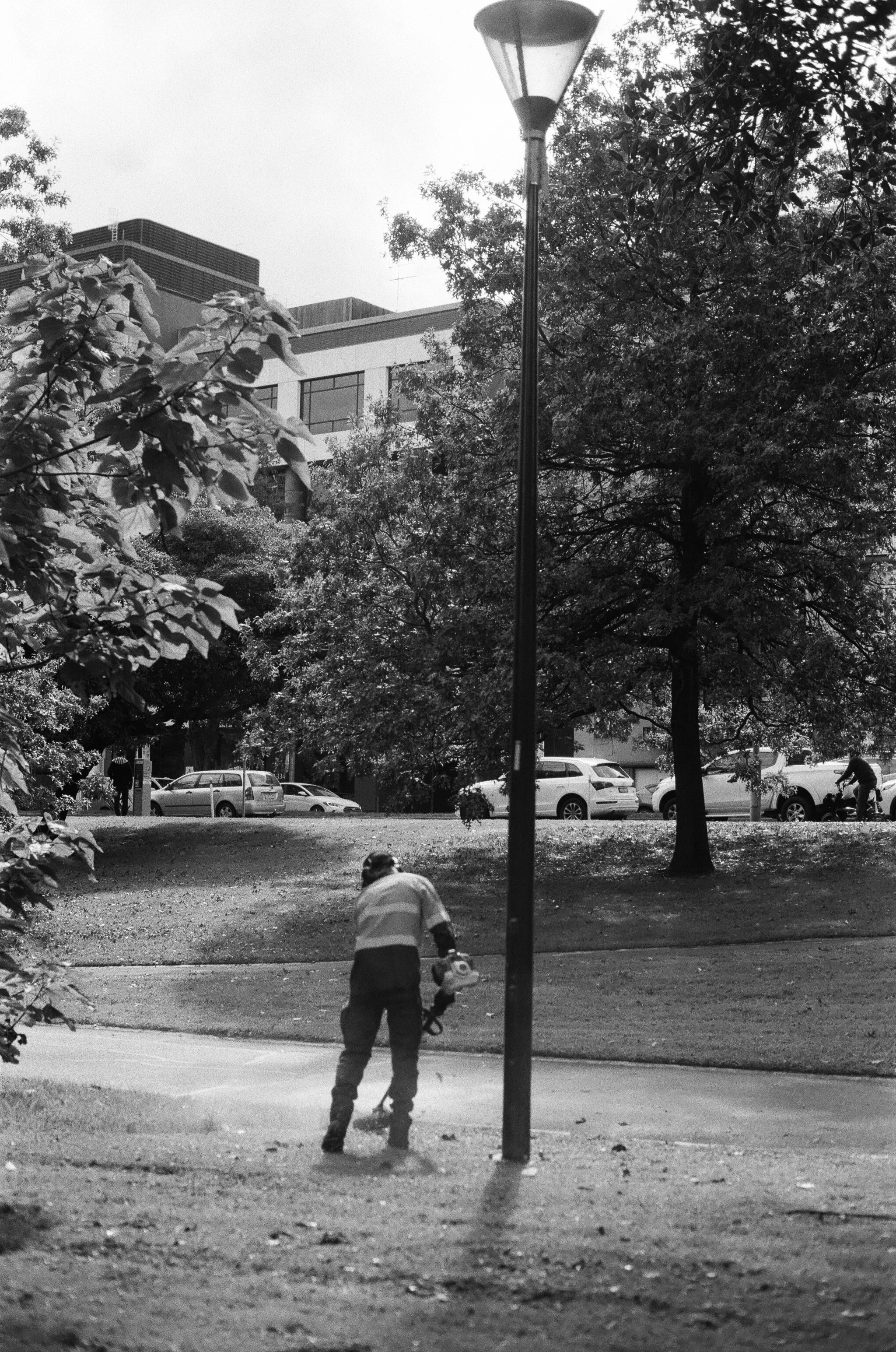 "Stroll in the Gardens", documents Naarm/Melbourne national gardens. - ongoing
Ilford HP5+ 400