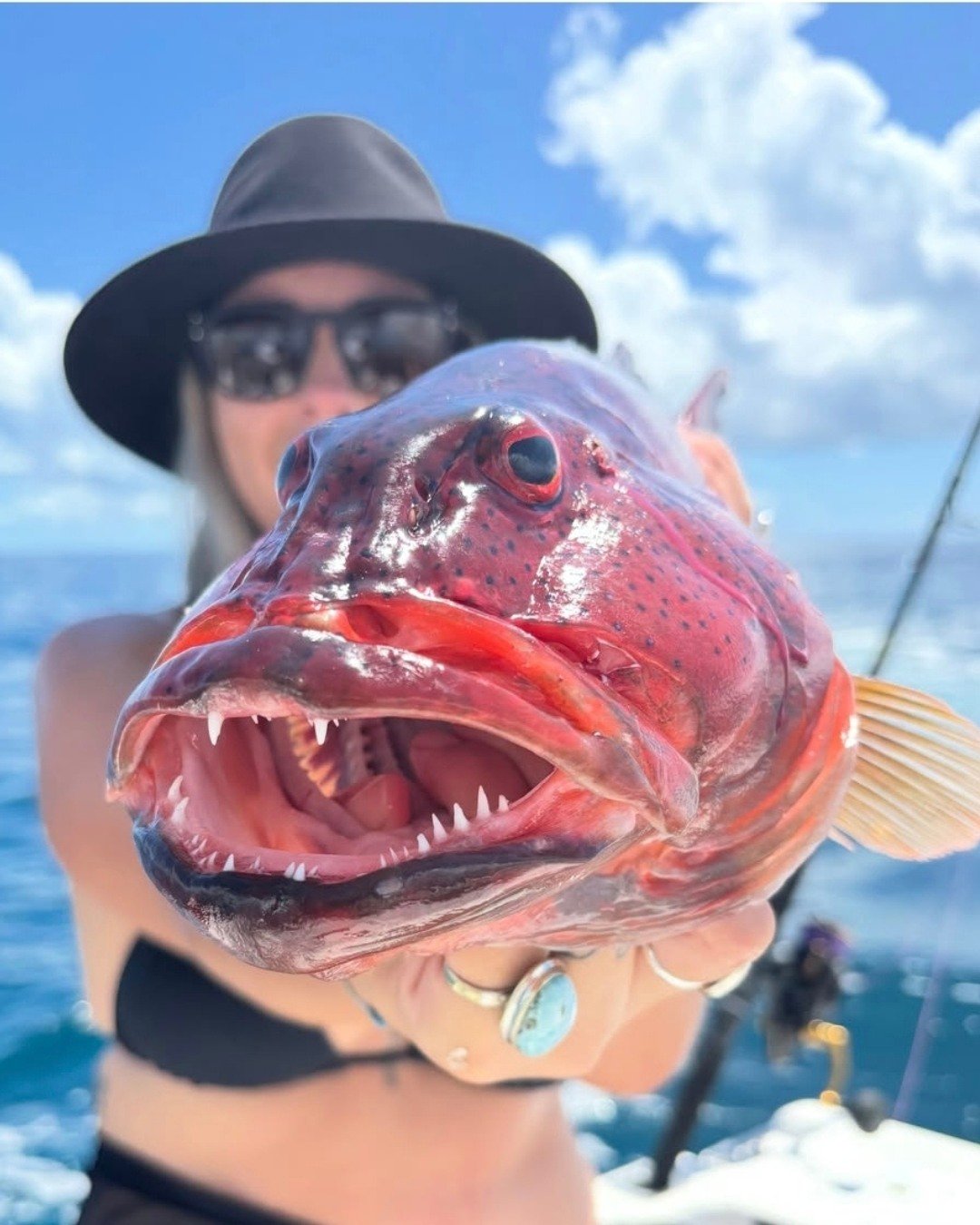 What's the most photogenic fish in Australia... and why isn't it a Coral Trout? 🤔

Jac captured the kind of close-up that belongs in a horror movie and a tourism brochure at the same time.

Those colours.  Those teeth.  That face.

Absolutely magnif