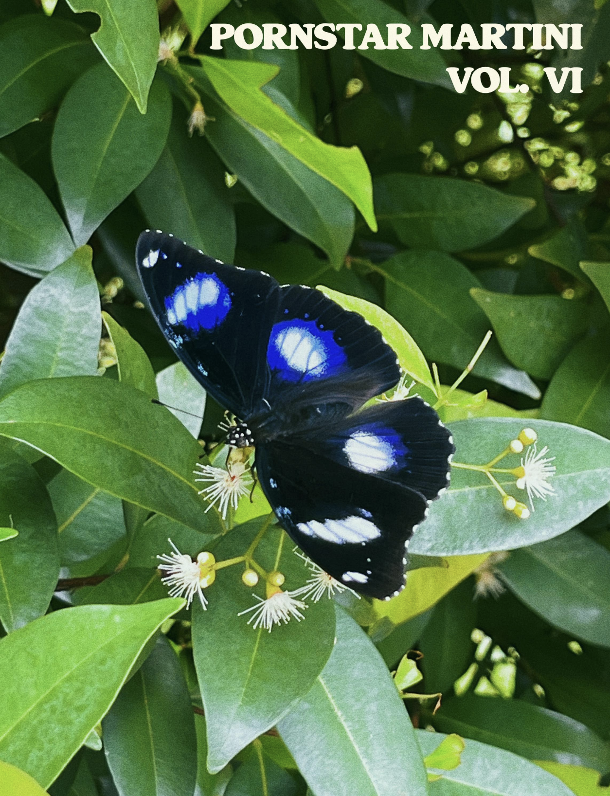 Volume VI - Ecosystems