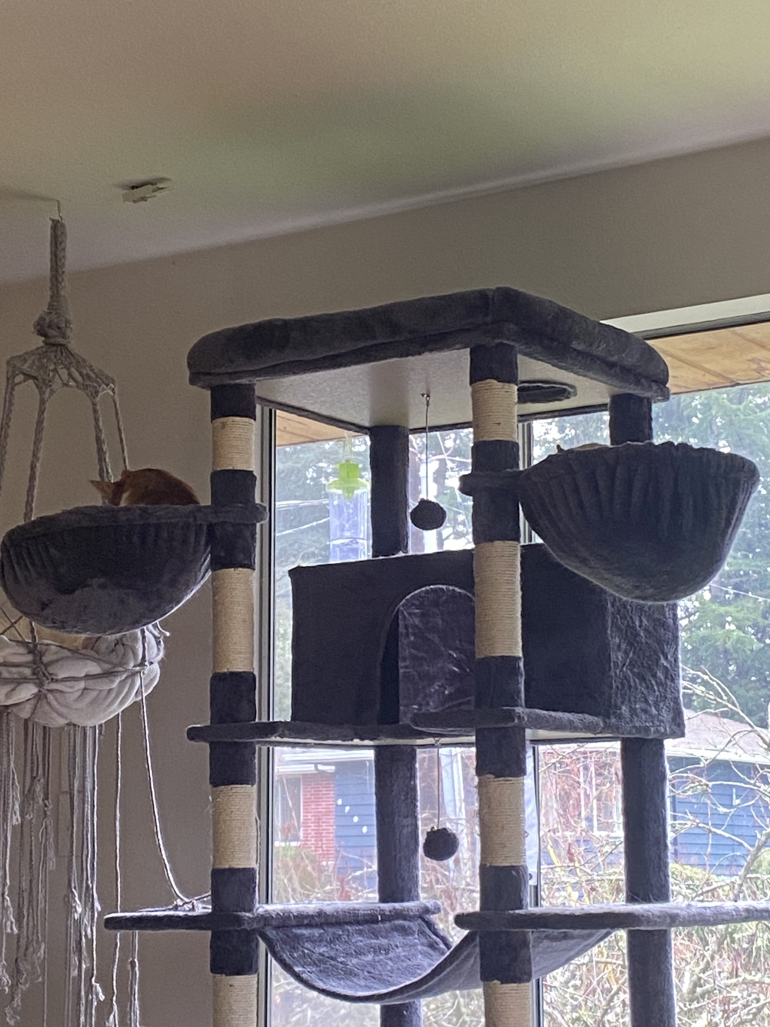 Extra large cat tree for two cats