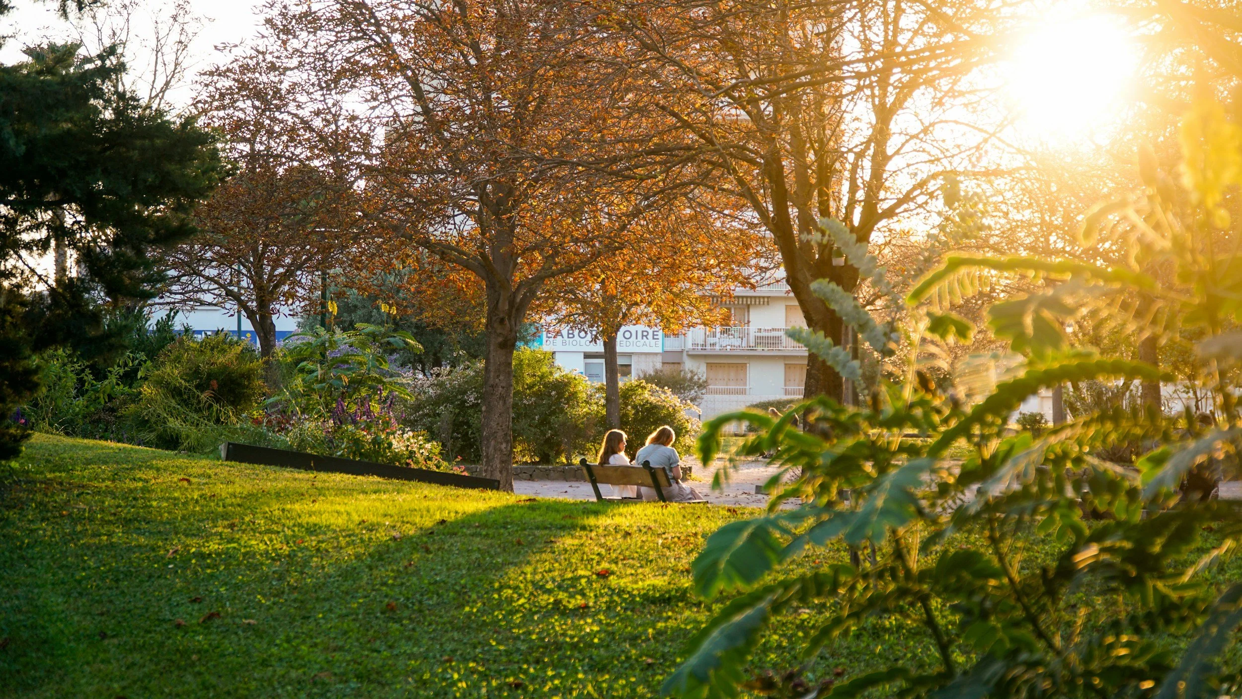 Two ladies sitting on a park bench together