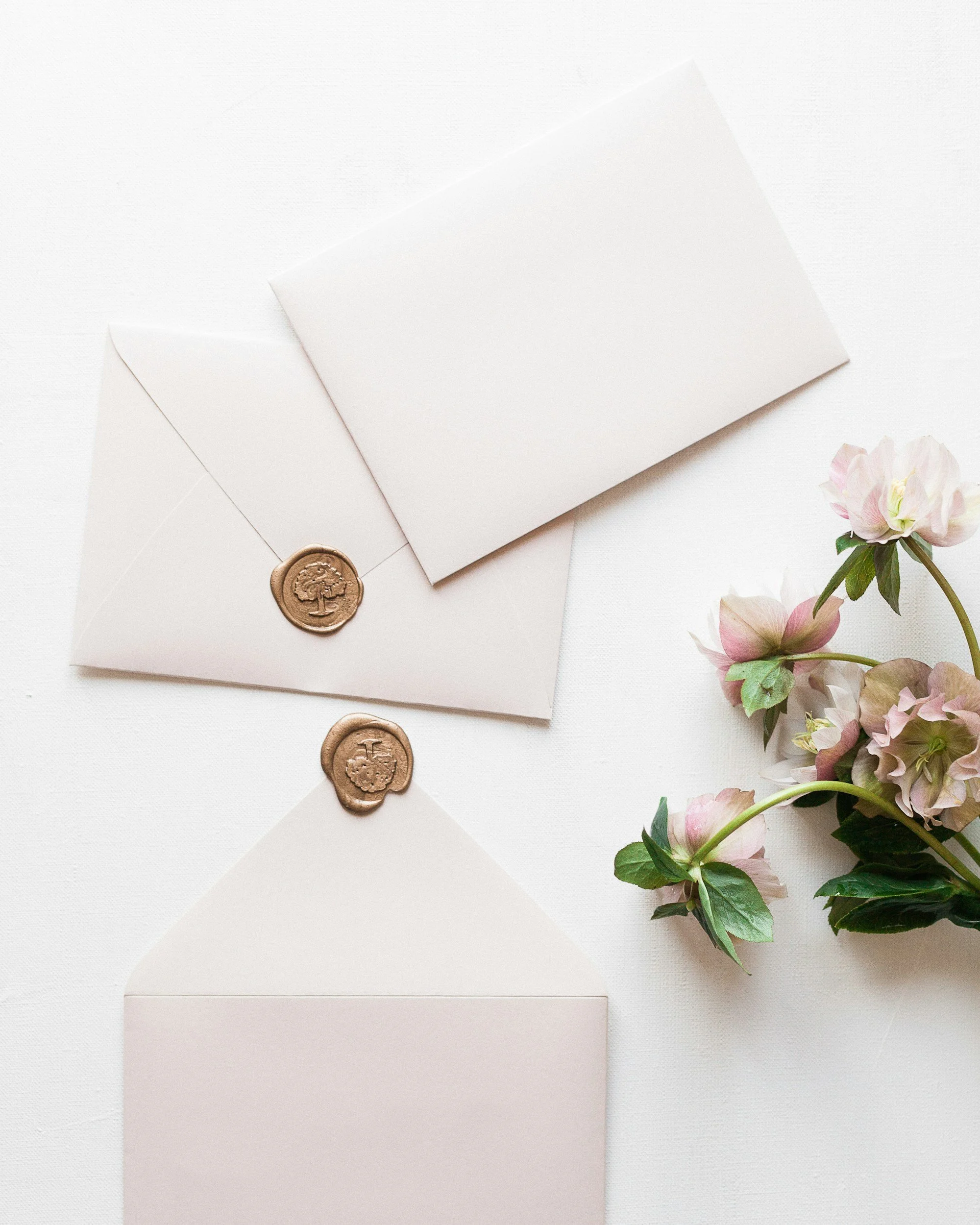 Envelopes with pink dried flowers