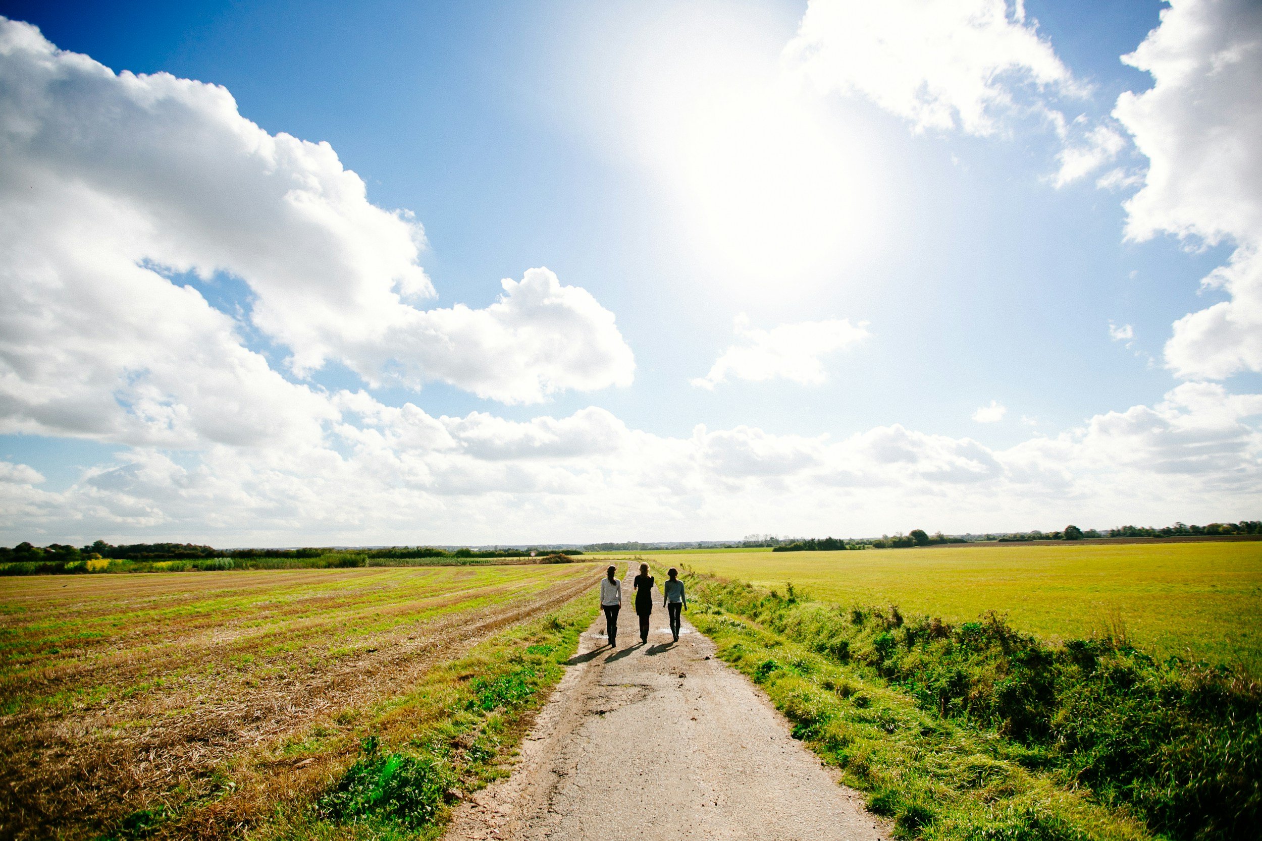Small group walking down a path in the middle of a field with blue skies